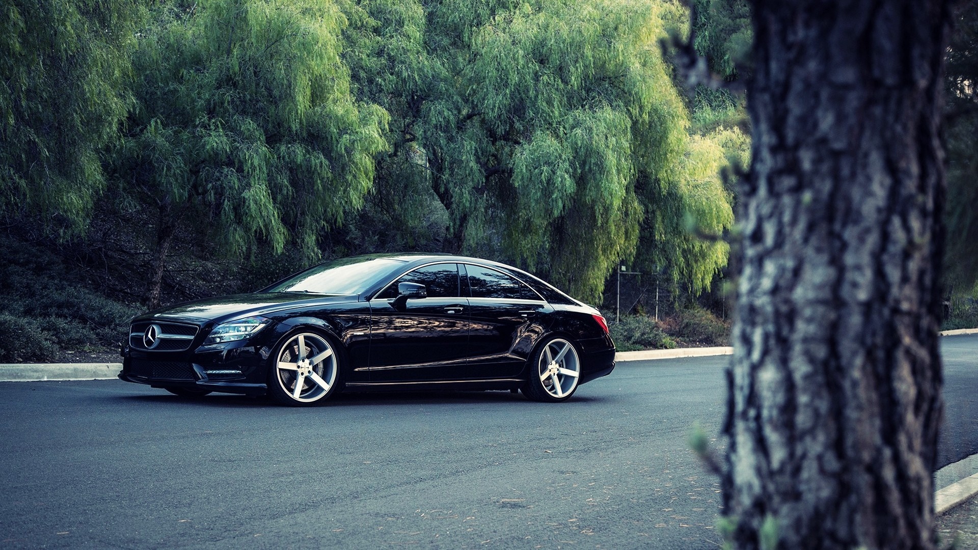 Black Mercedes Benz CLS on a road with trees HD Wallpaper