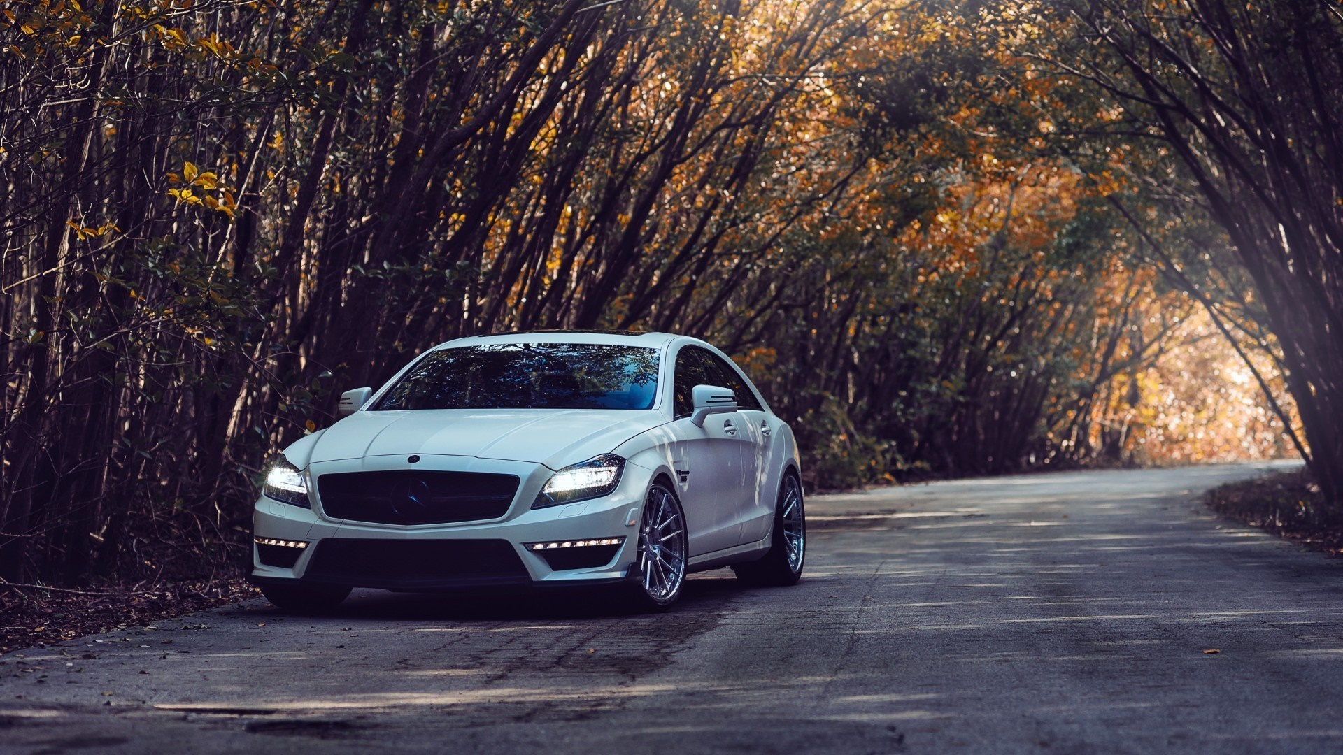 White Mercedes-Benz CLS parked on a tree-lined road HD Wallpaper