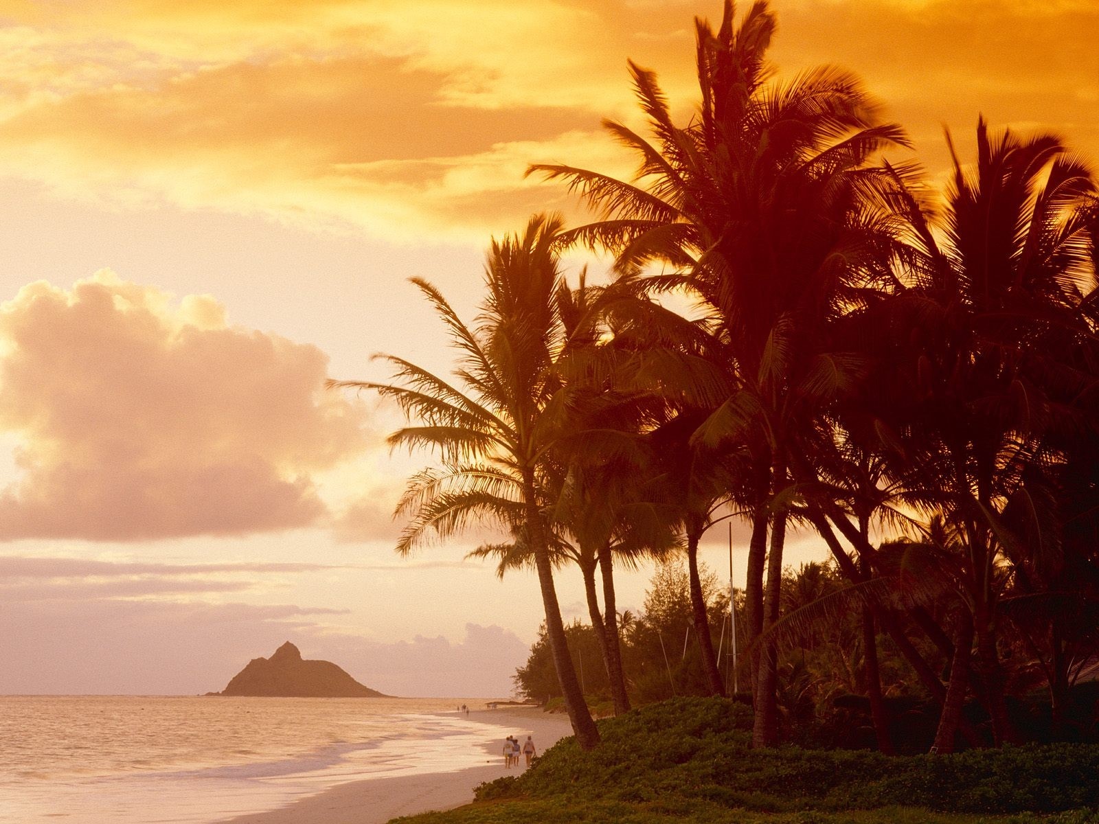 Palm trees on a beach at sunset with a mountain island HD Wallpaper