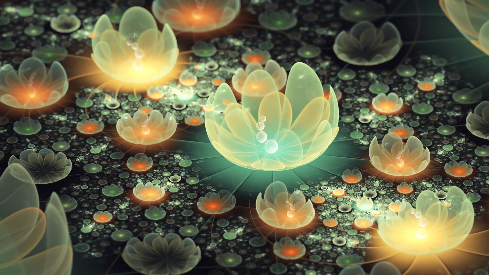 Abstract fractal flowers with glowing centers HD Wallpaper