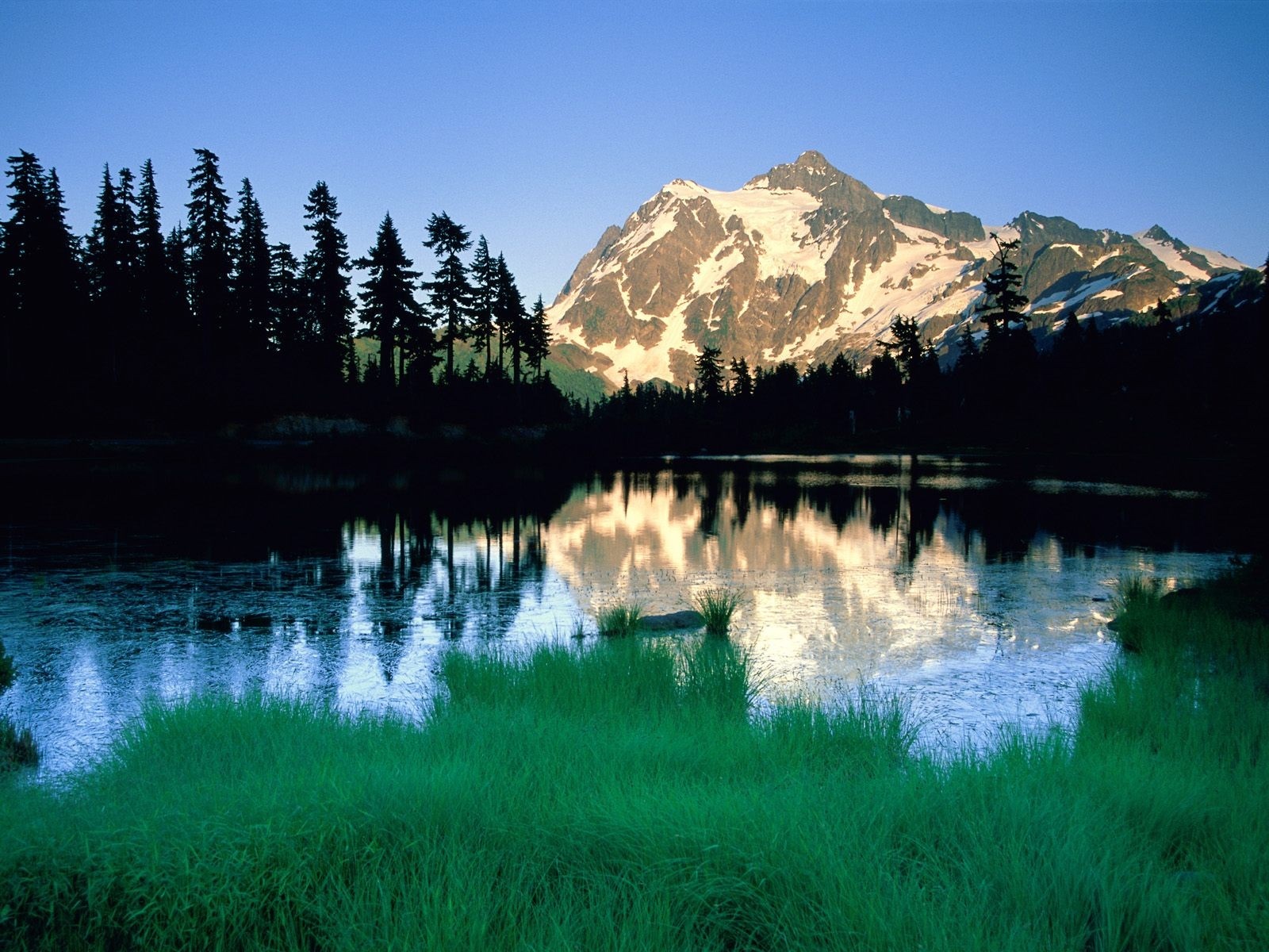 Snow-capped mountain reflected in a calm lake with pine trees HD Wallpaper