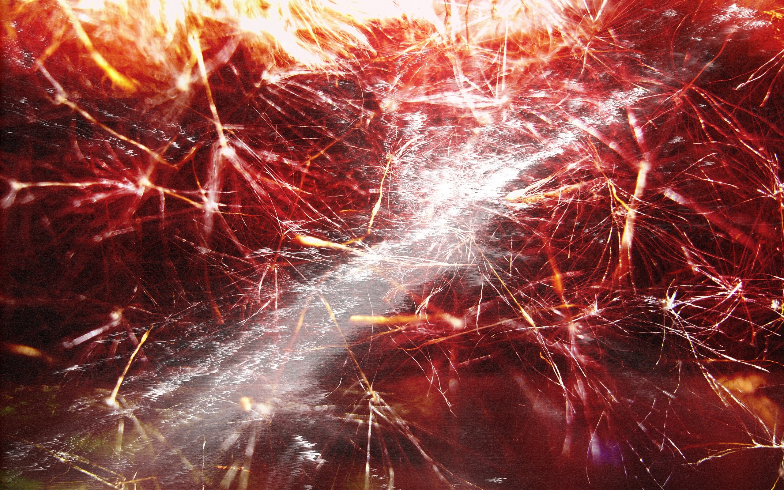 Abstract red and white streaks resembling fireworks HD Wallpaper