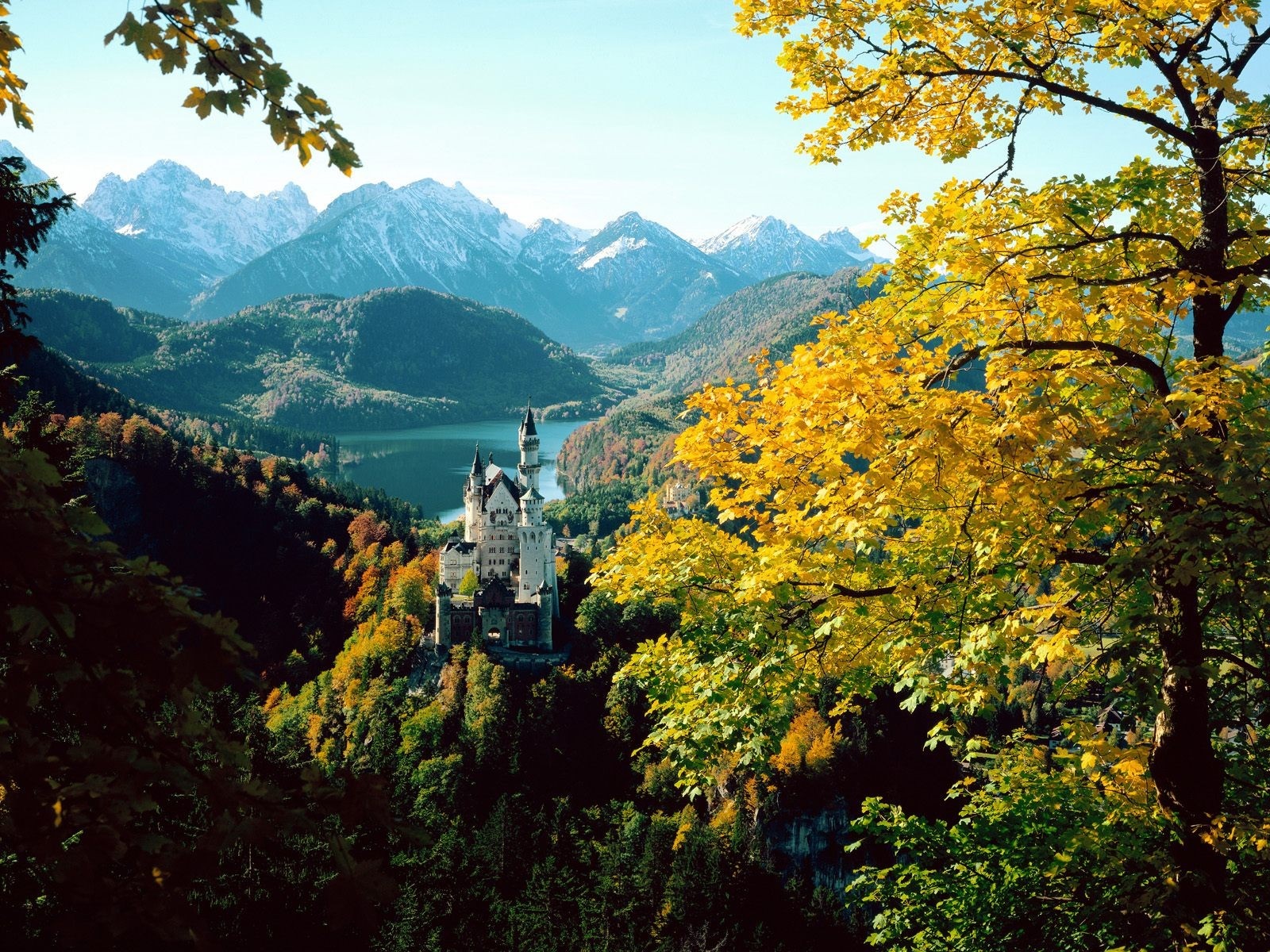 Schloss Neuschwanstein castle in autumn mountains HD Wallpaper