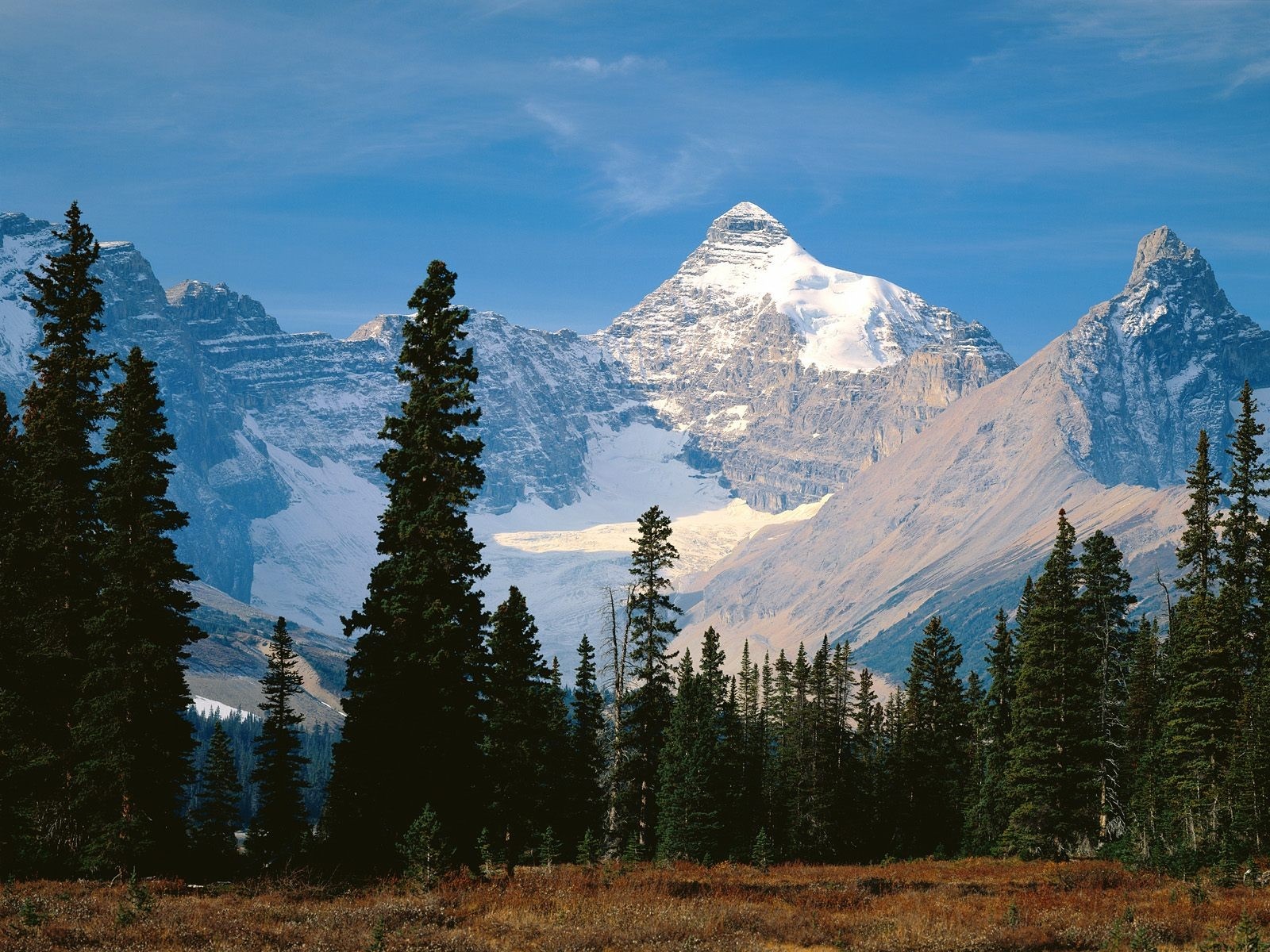 Snow-capped mountains and evergreen trees in a wilderness landscape HD Wallpaper