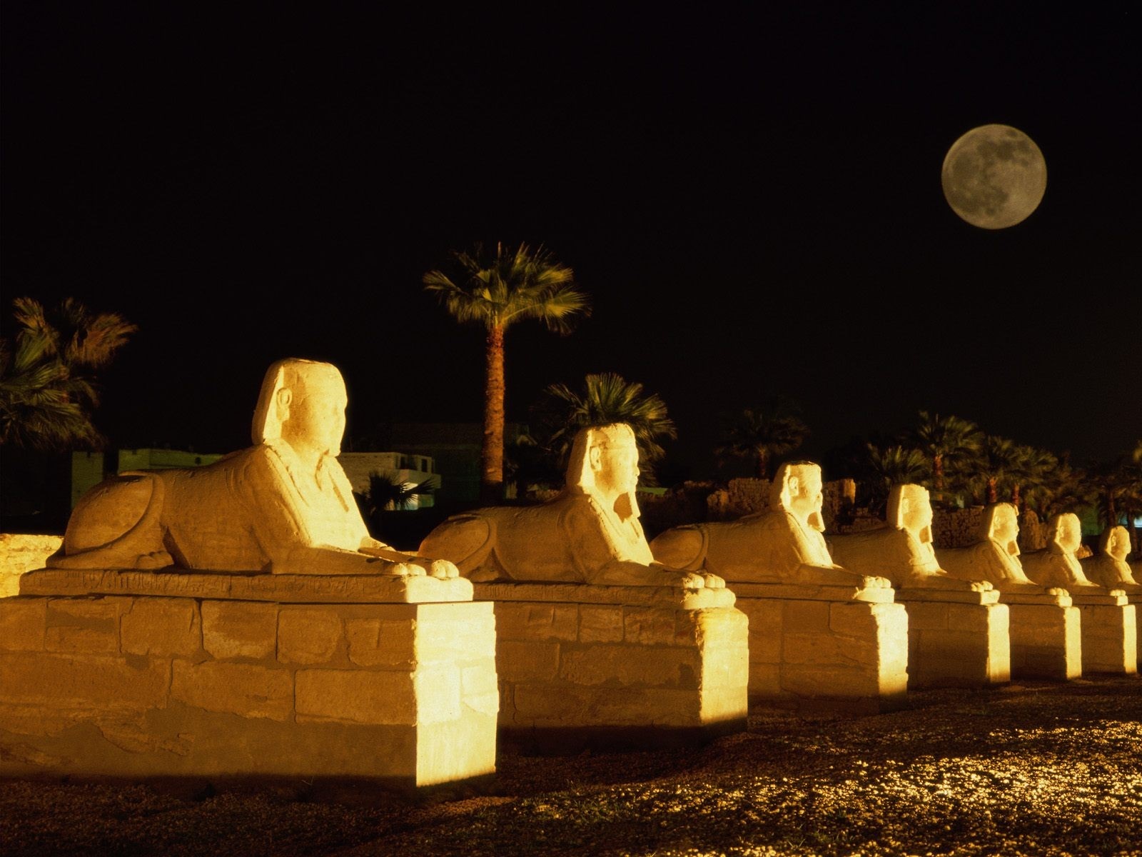 Sphinx statues at night with full moon HD Wallpaper