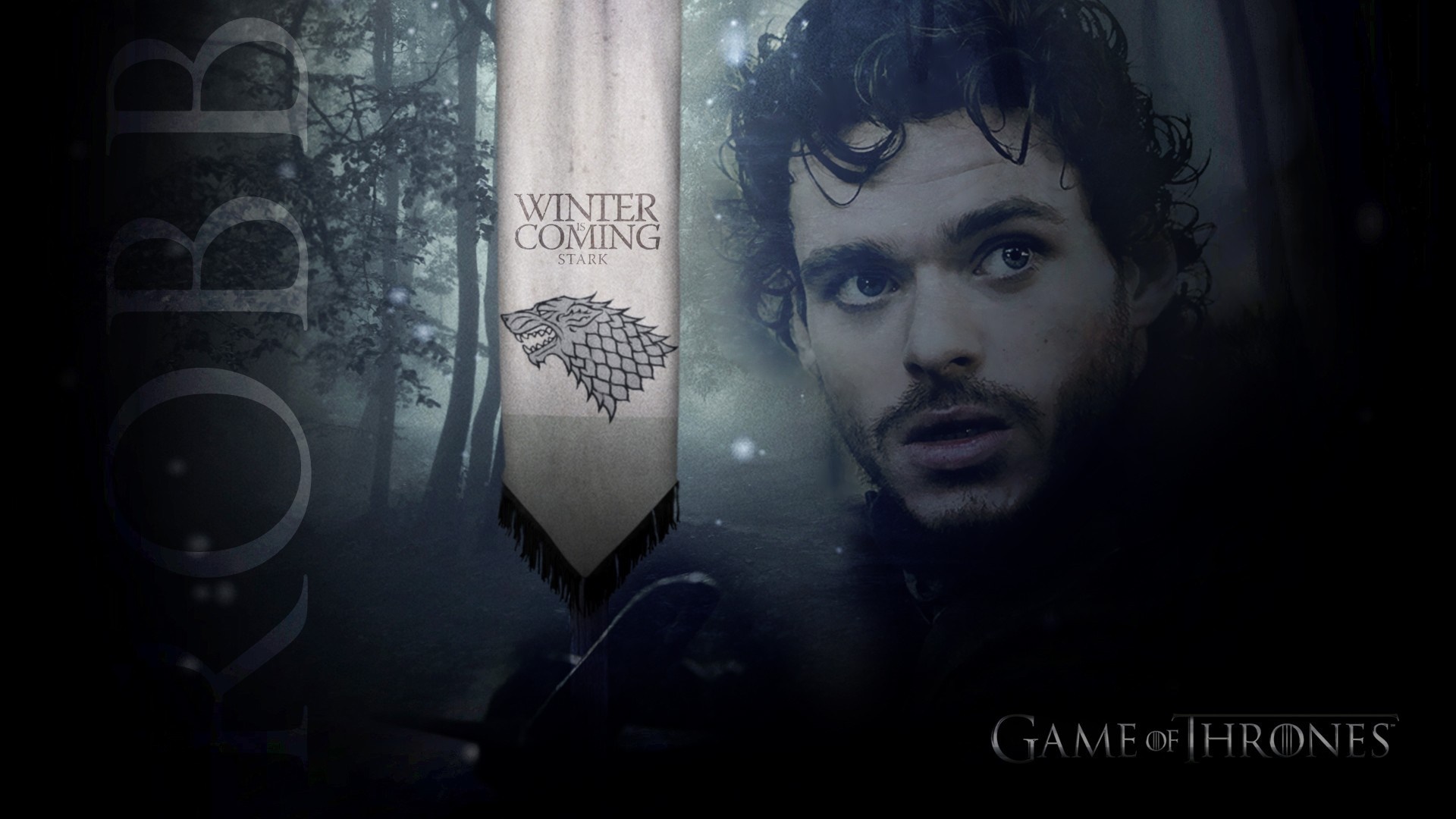 Robb Stark from Game of Thrones HD Wallpaper