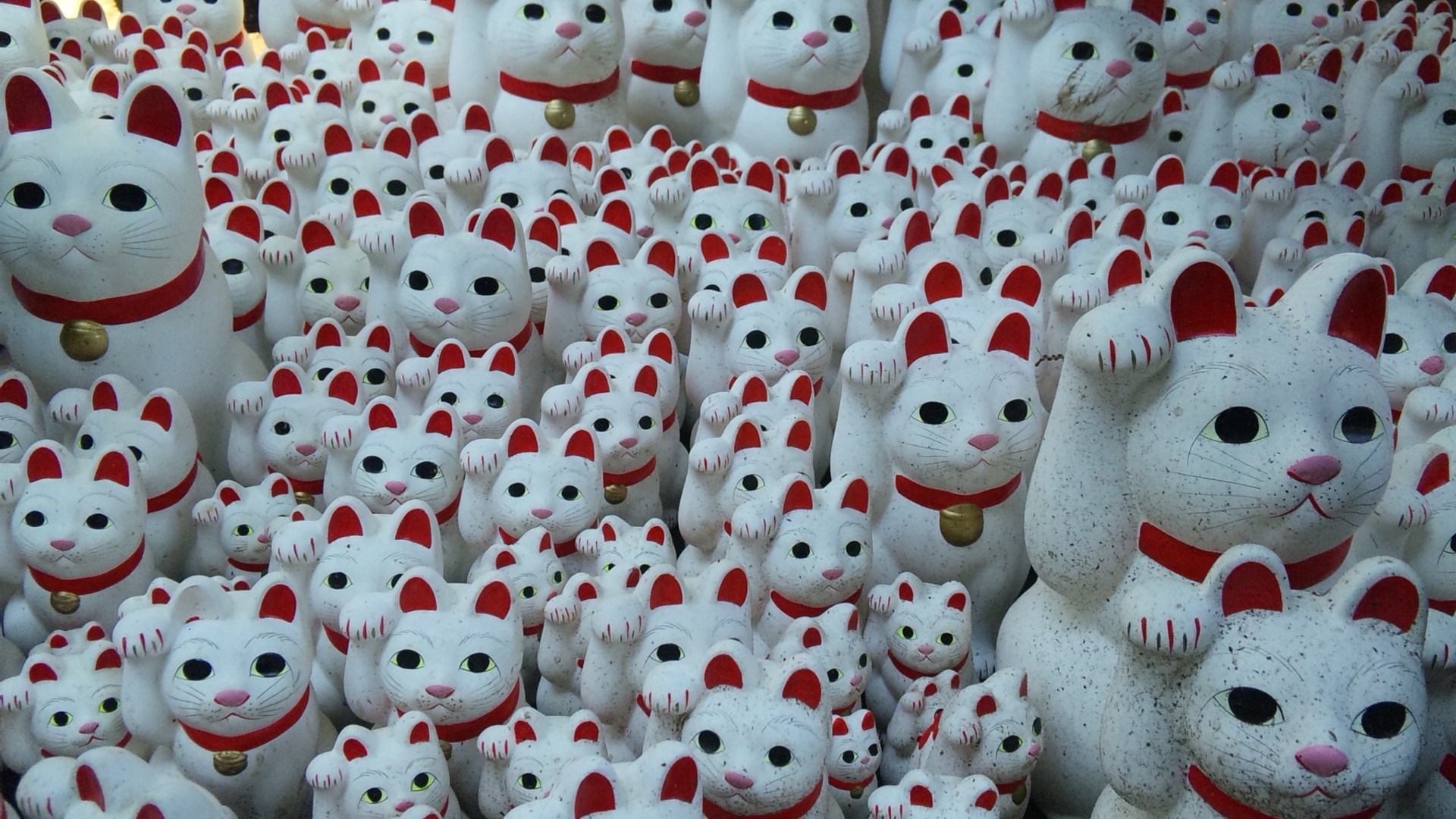 Maneki-neko lucky cat figurines HD Wallpaper