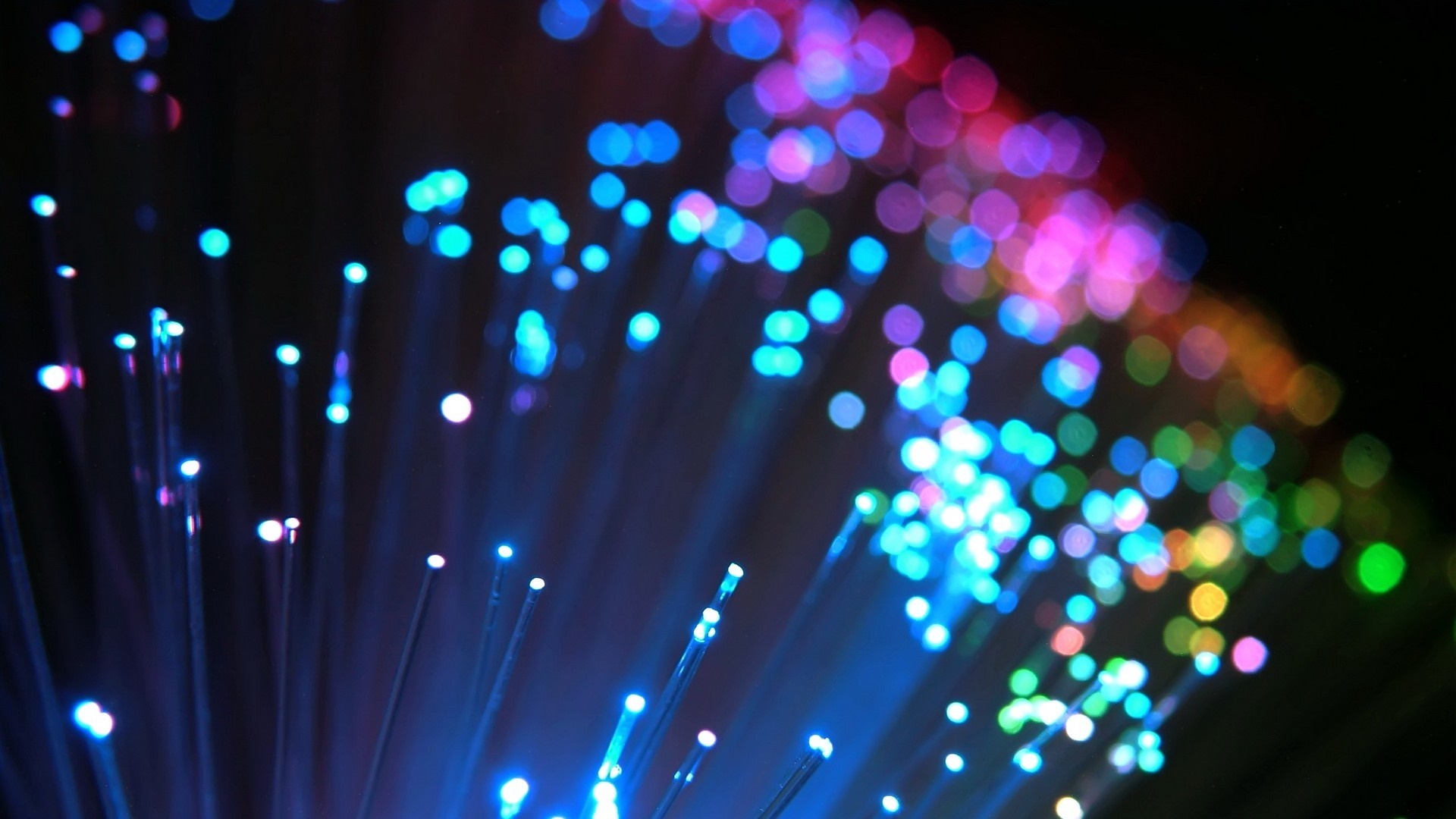 Abstract macro of colorful fiber optic lights HD Wallpaper
