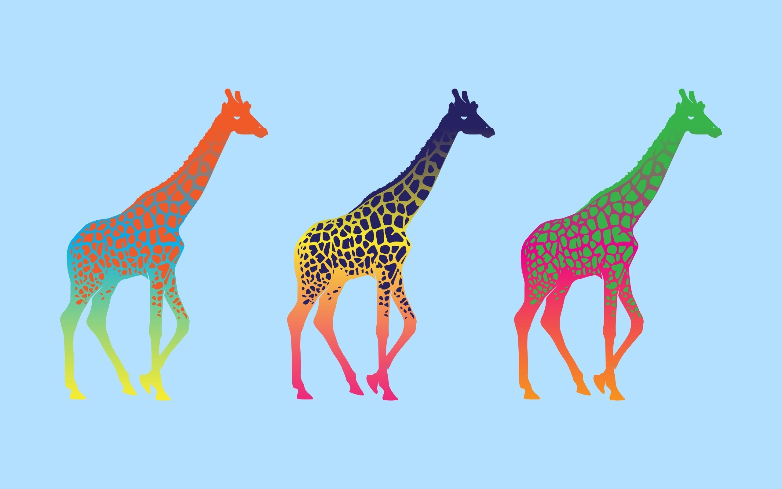 Three colorful giraffes on a light blue background HD Wallpaper