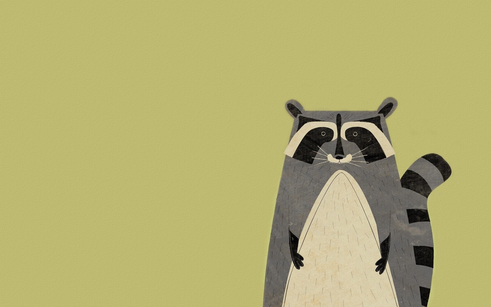 Minimalist illustration of a raccoon HD Wallpaper