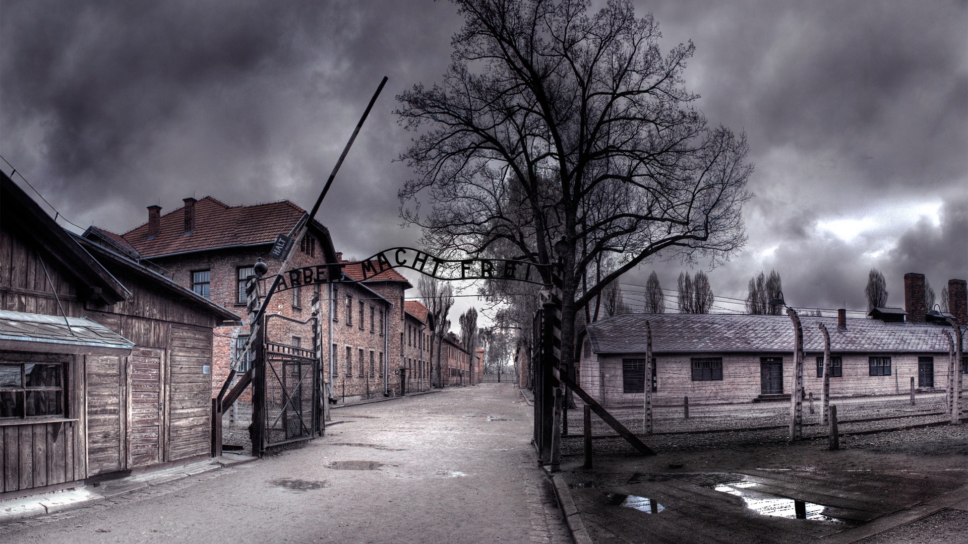 Auschwitz gate with "Arbeit Macht Frei" inscription HD Wallpaper