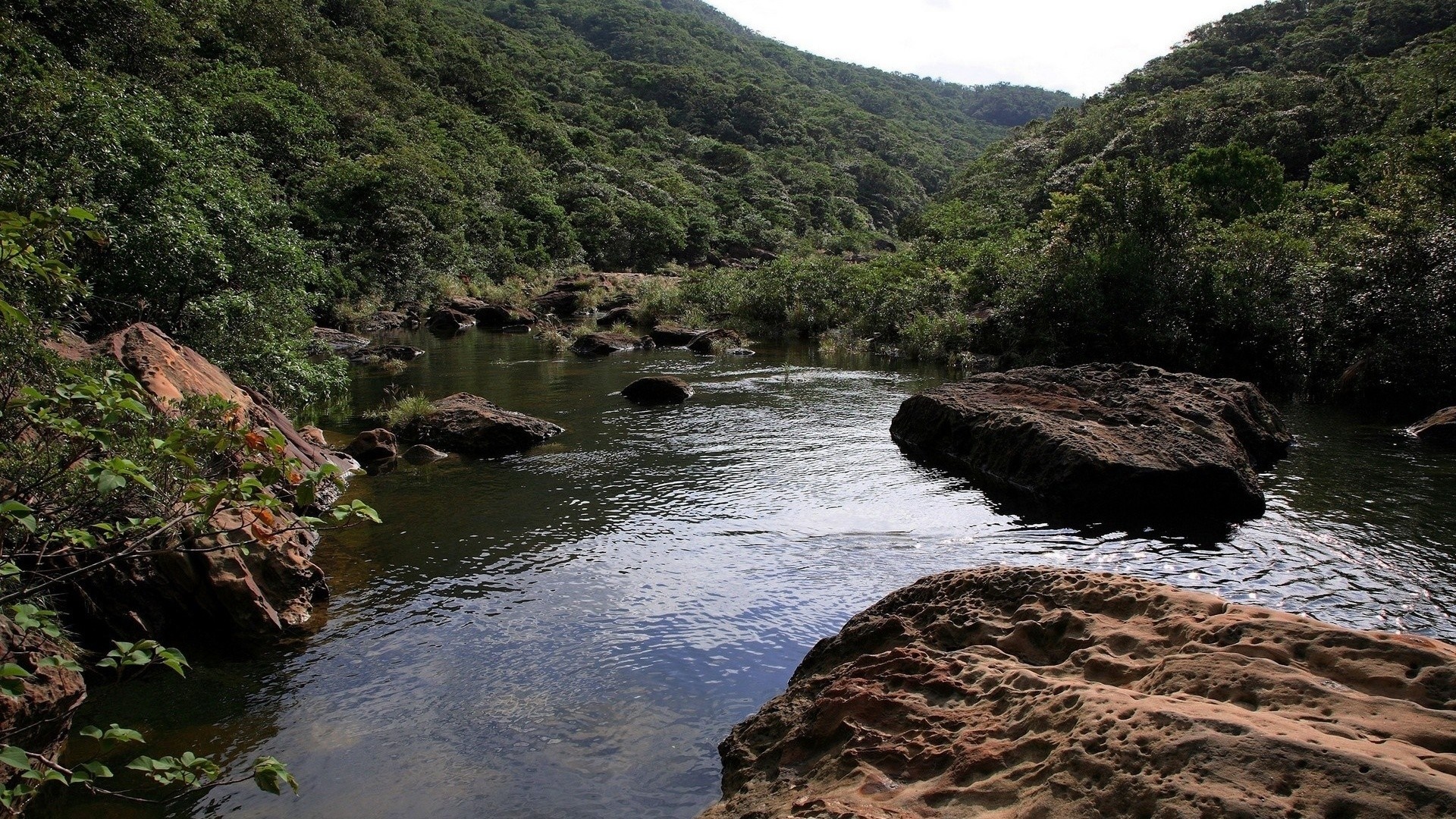 River flowing through a forested valley with rocks HD Wallpaper