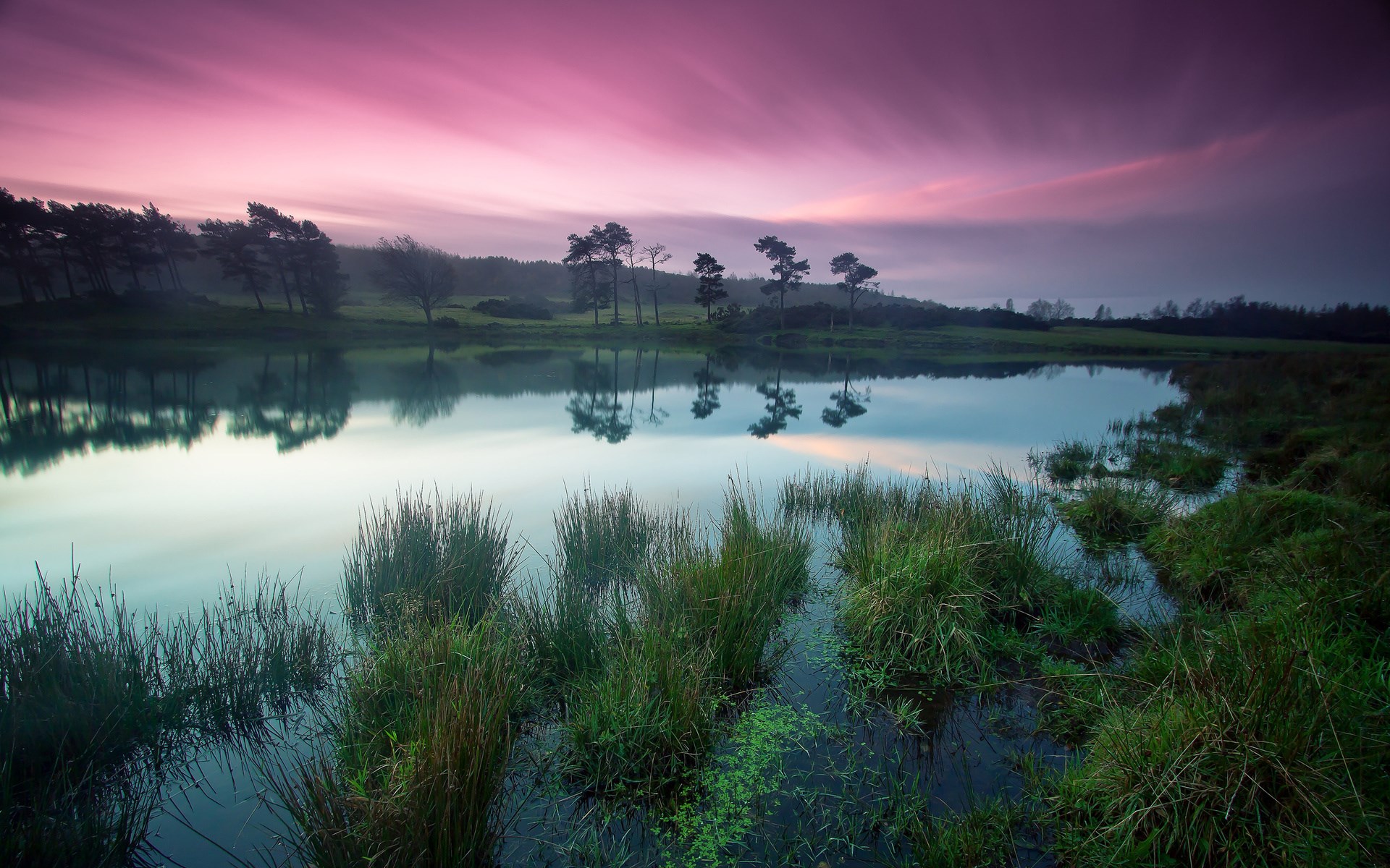 Lake and trees at sunset with pink sky HD Wallpaper