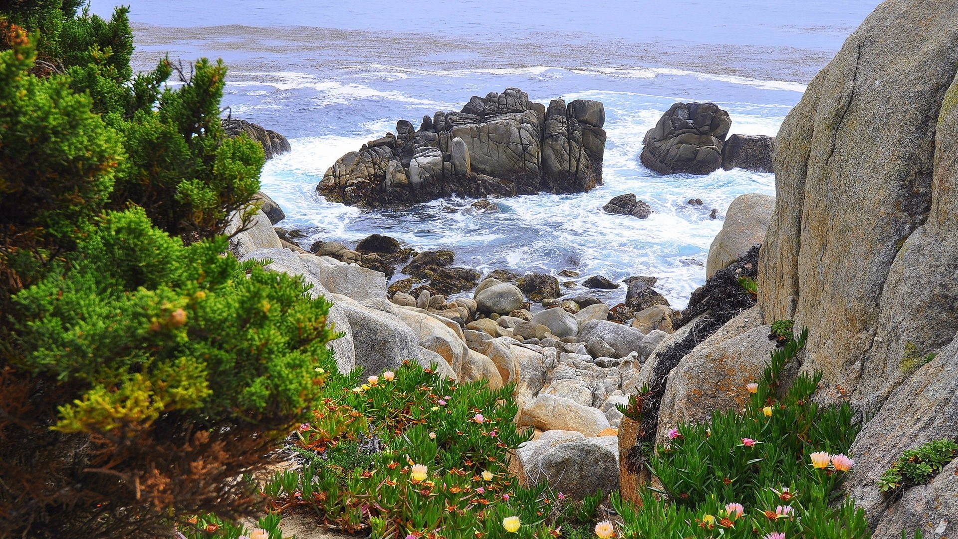 Rocky coastline with crashing waves and green foliage HD Wallpaper