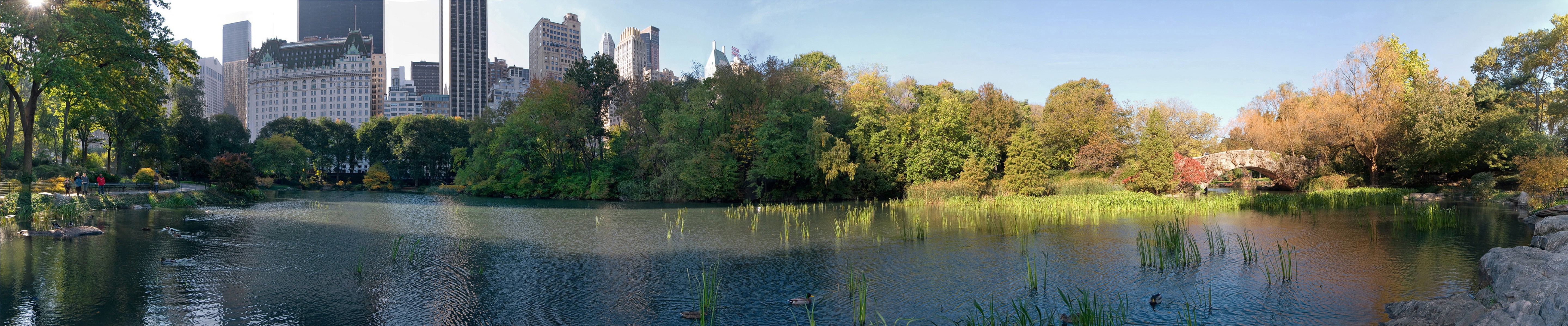 Central Park lake with autumn trees and New York City skyline HD Wallpaper