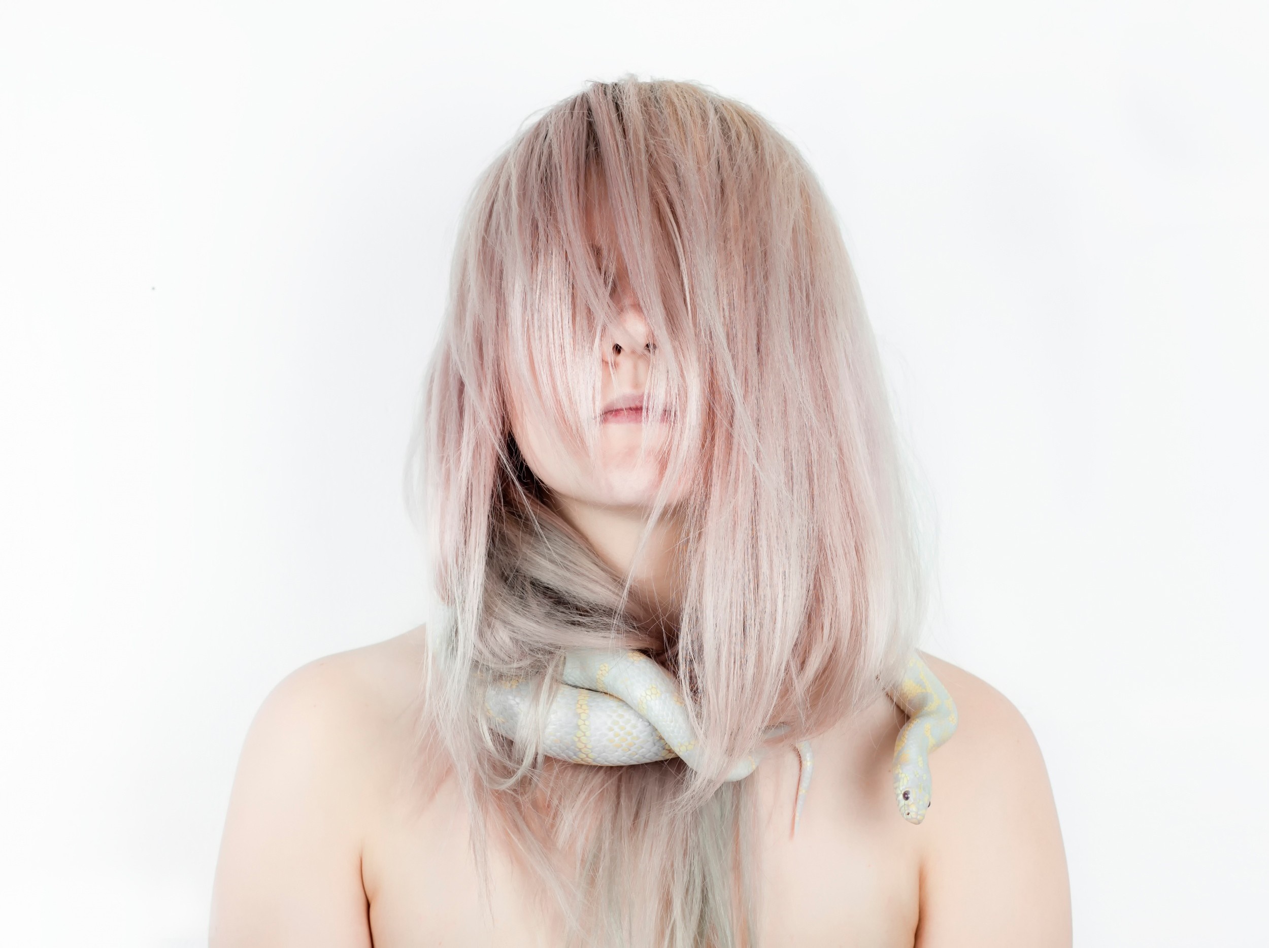 Woman with pink hair and a snake around her neck HD Wallpaper