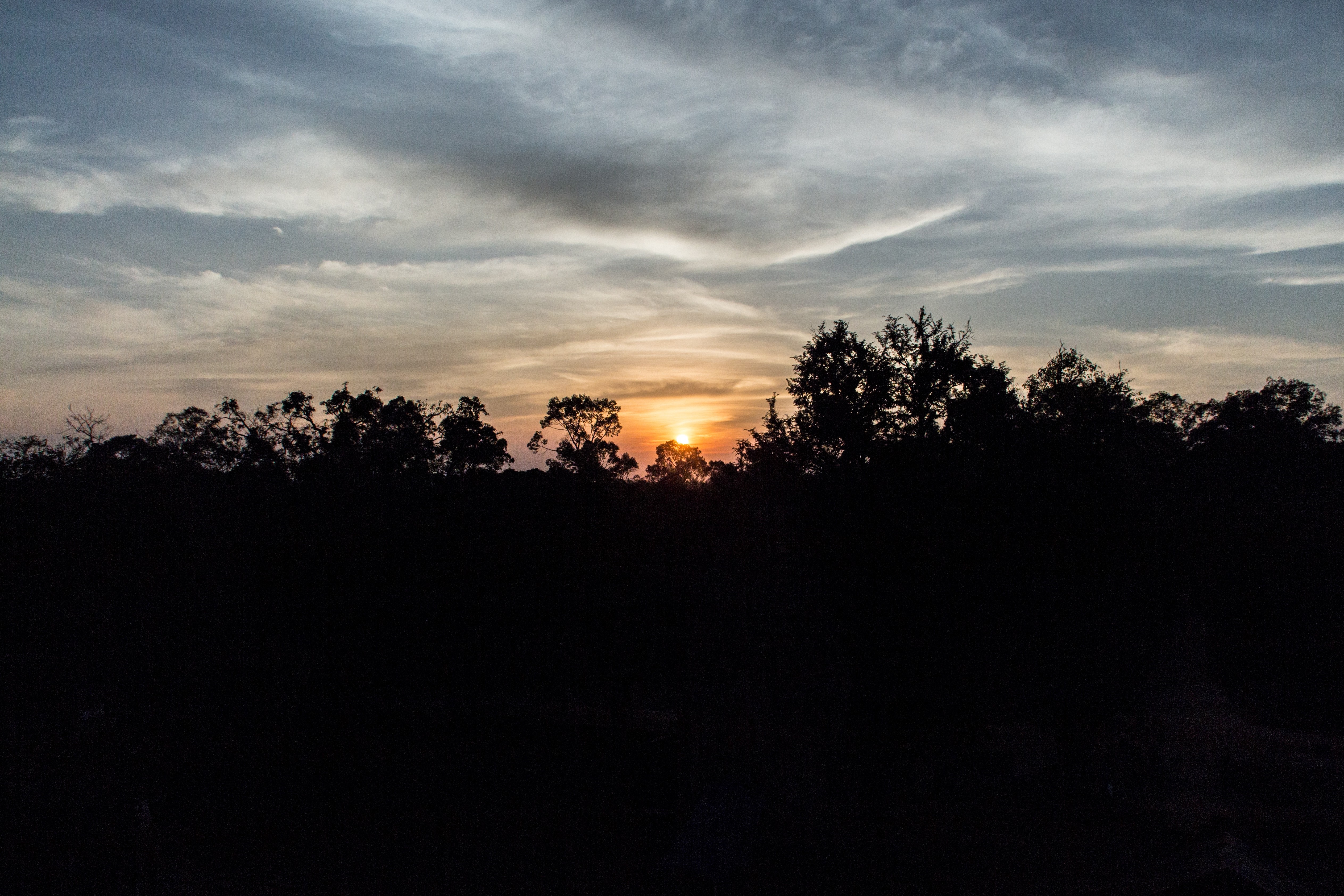 Sunset over a silhouetted forest HD Wallpaper