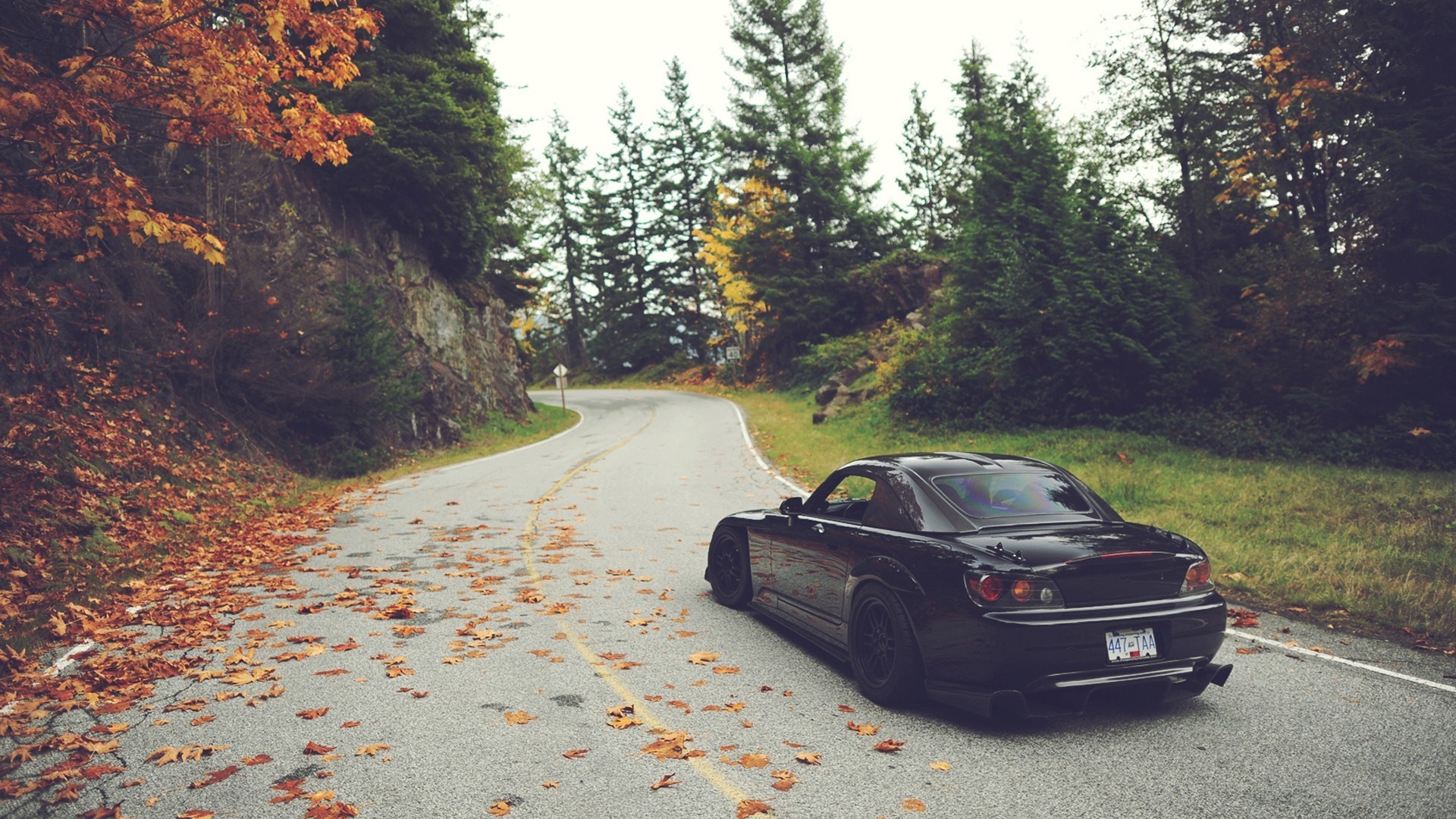 Black Honda S2000 on a winding road in autumn HD Wallpaper