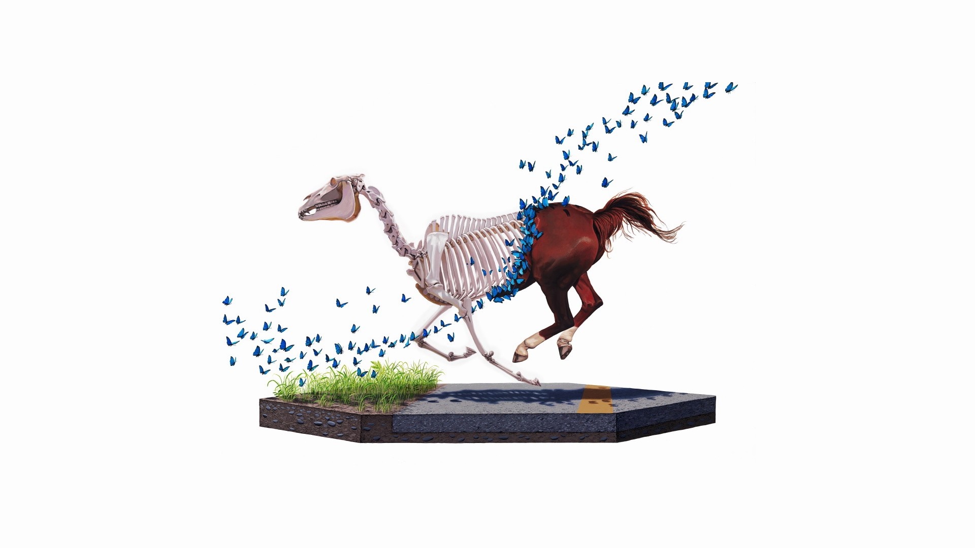 Horse skeleton and body with butterflies HD Wallpaper