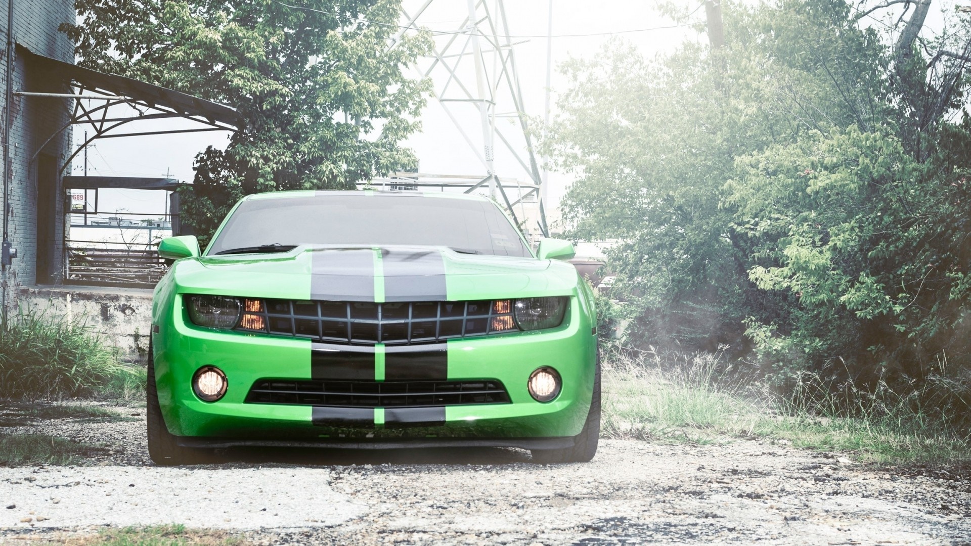Green Chevrolet Camaro with black stripes HD Wallpaper