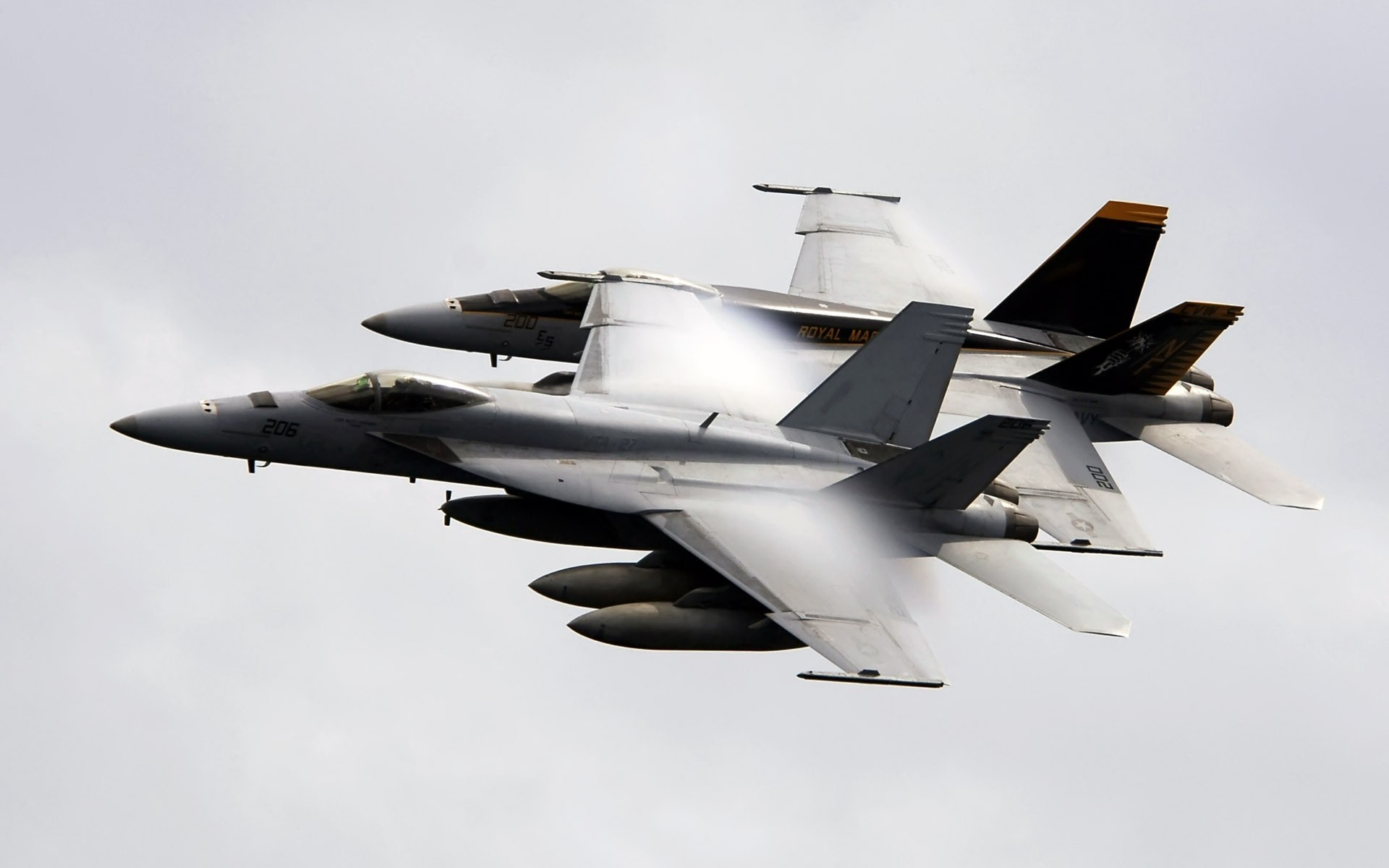 Two McDonnell Douglas F/A-18 Hornets in flight HD Wallpaper