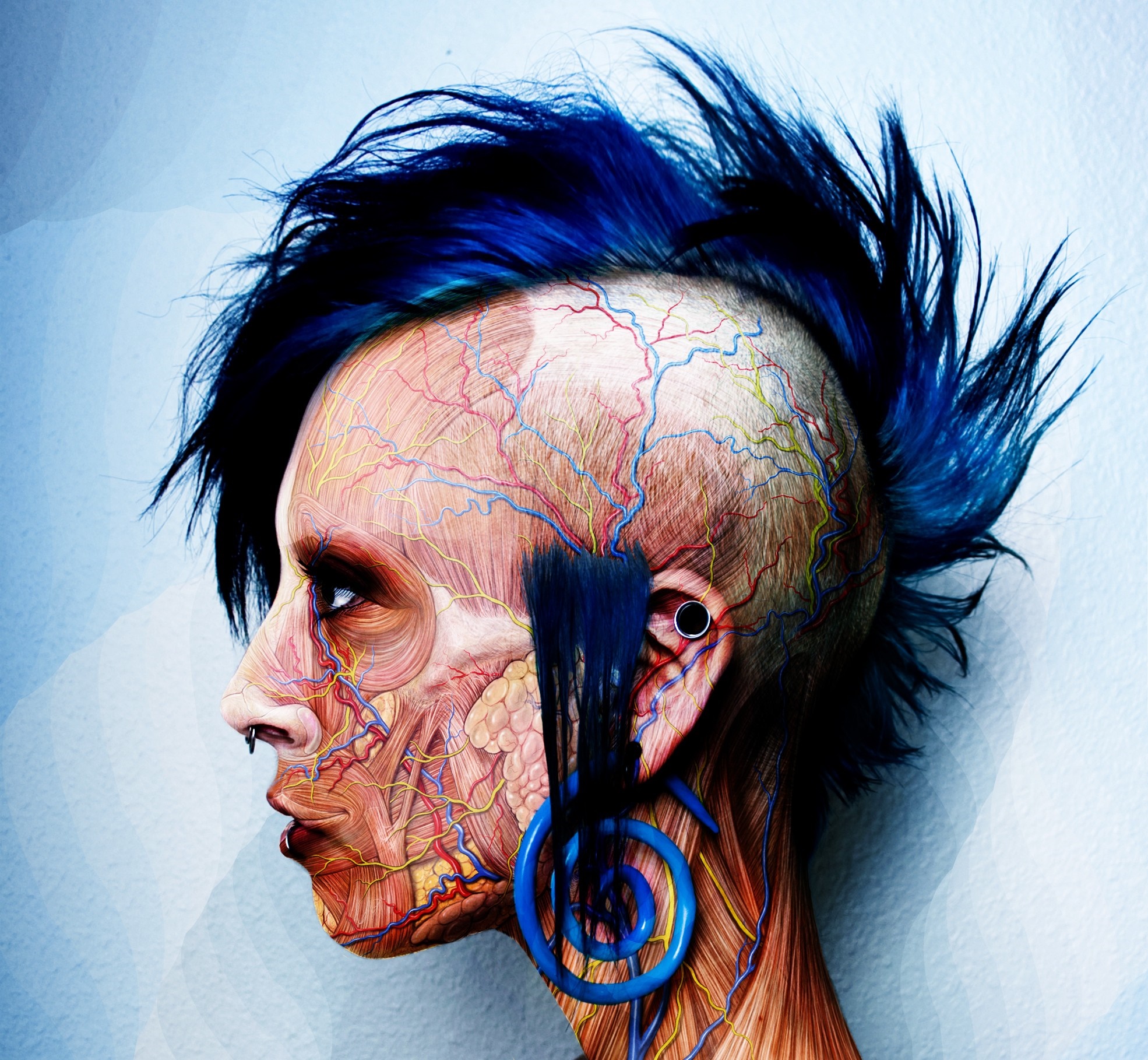 Illustration of a punk woman with exposed musculature and blue hair HD Wallpaper