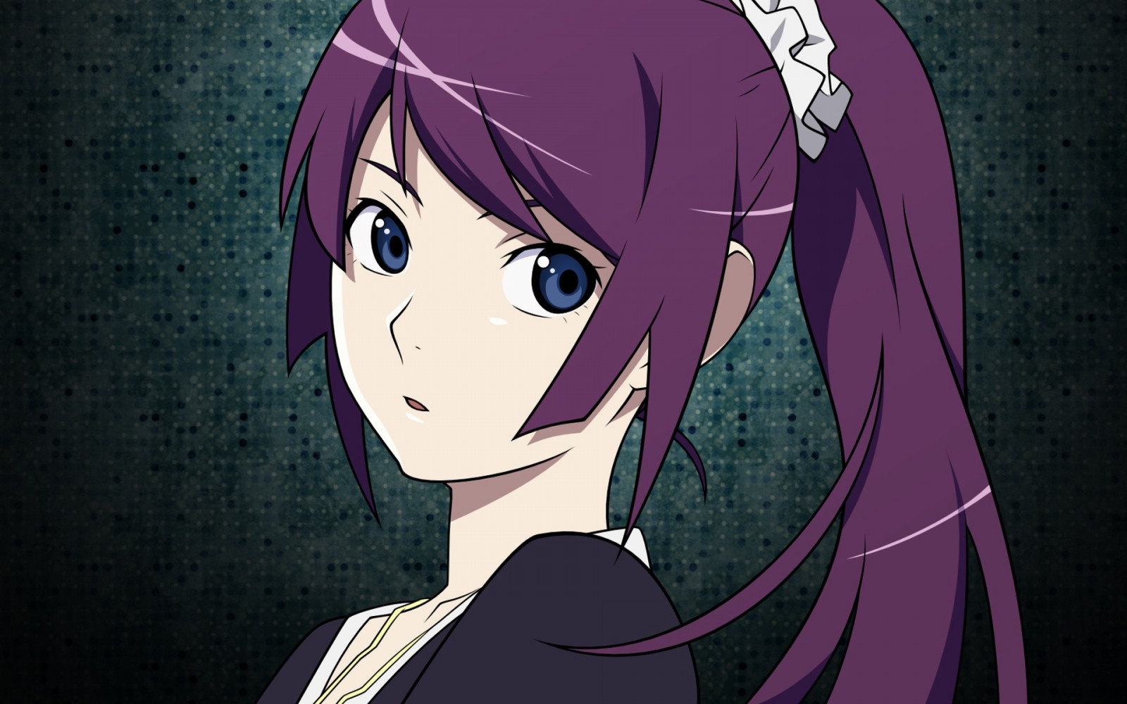Hitagi Senjougahara from Monogatari Series HD Wallpaper