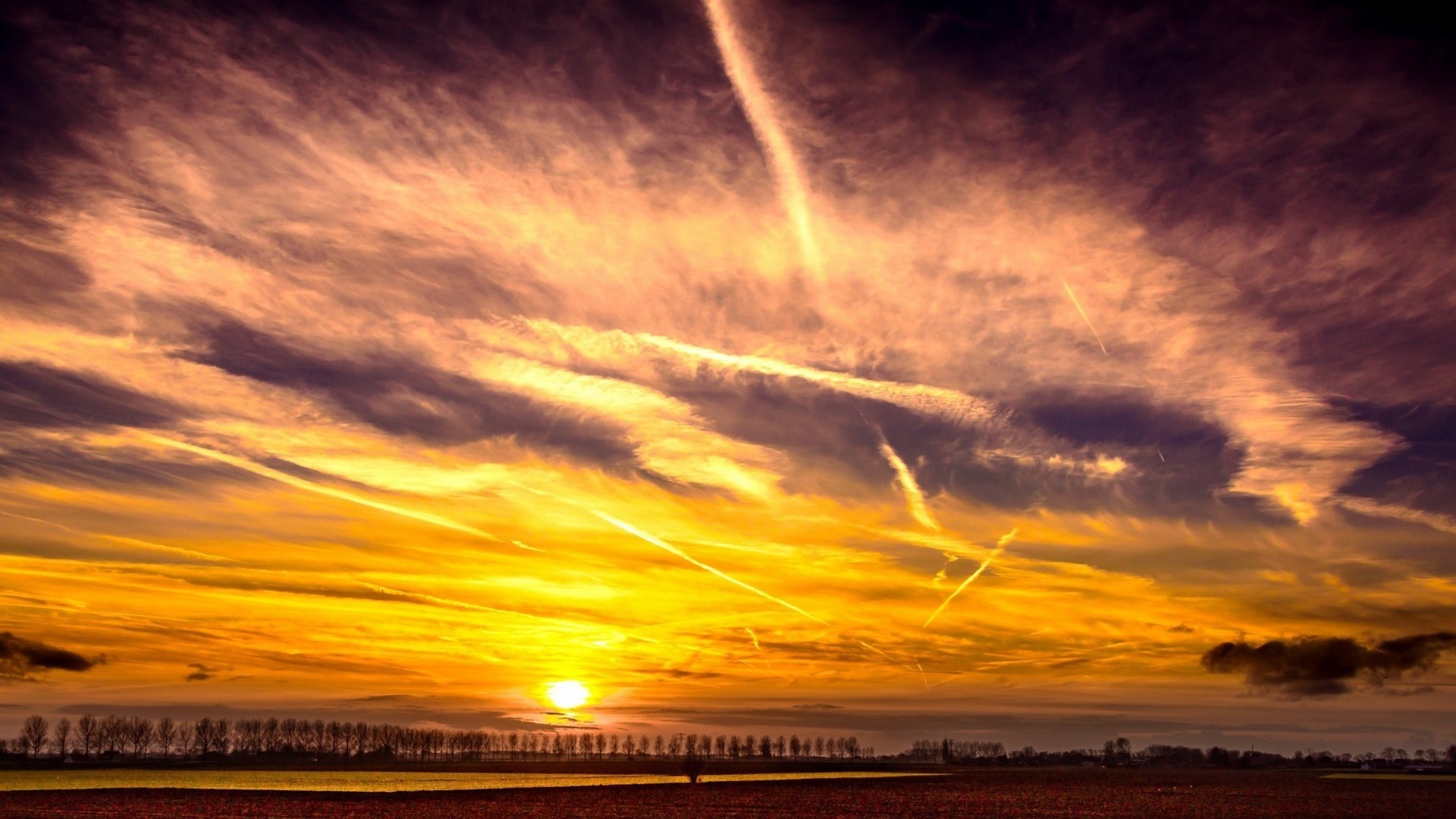 Sunset over silhouetted trees and houses HD Wallpaper