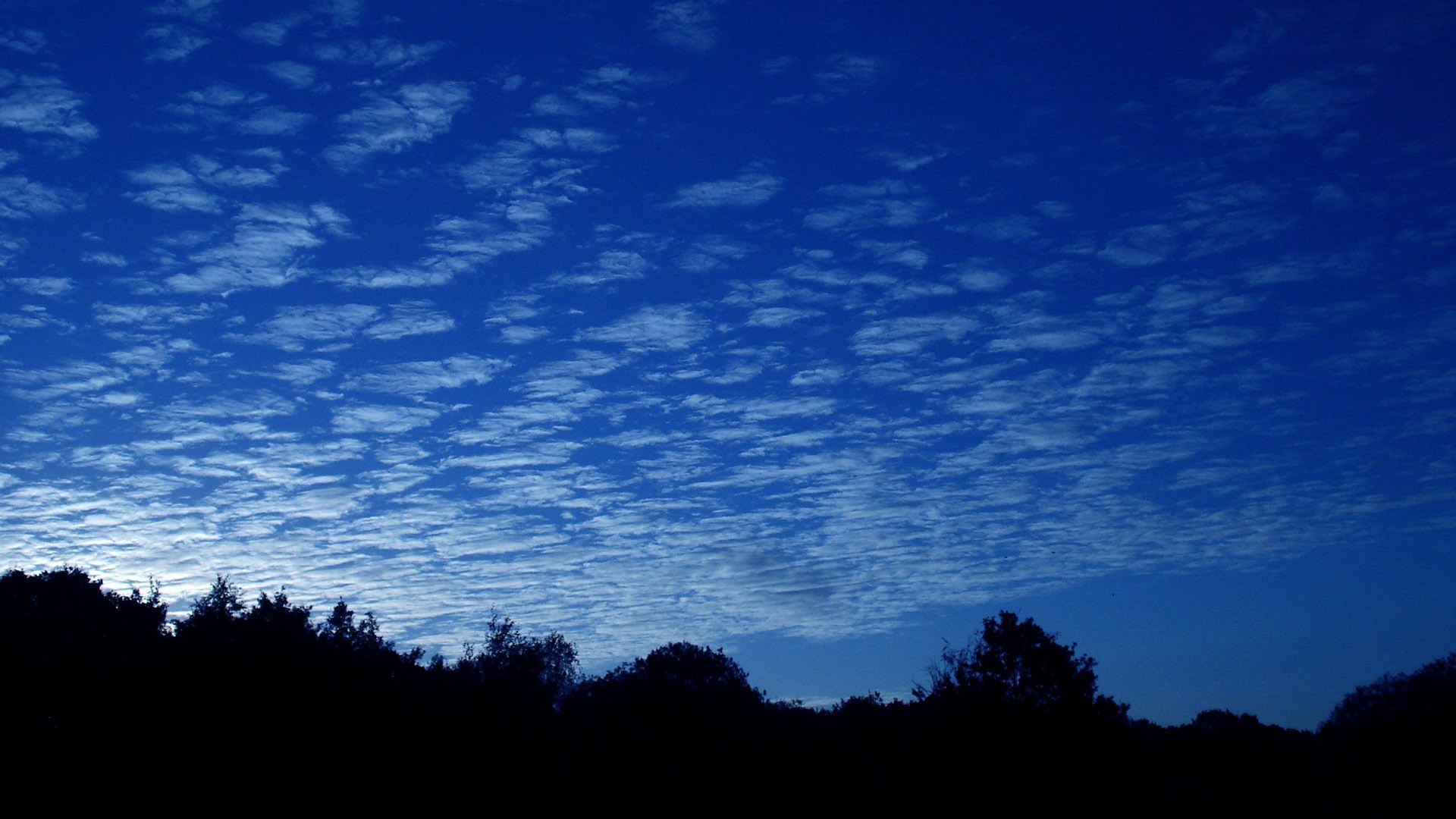 Dark silhouette of trees against a blue sky with clouds HD Wallpaper