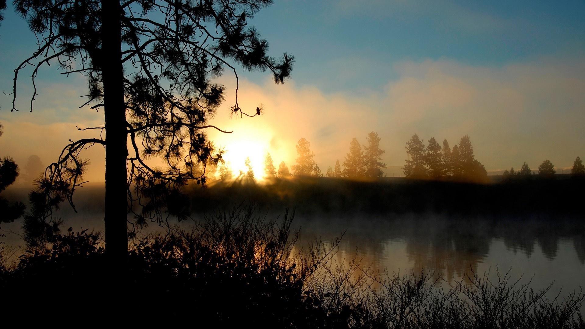Sunrise over a misty lake with silhouetted trees HD Wallpaper