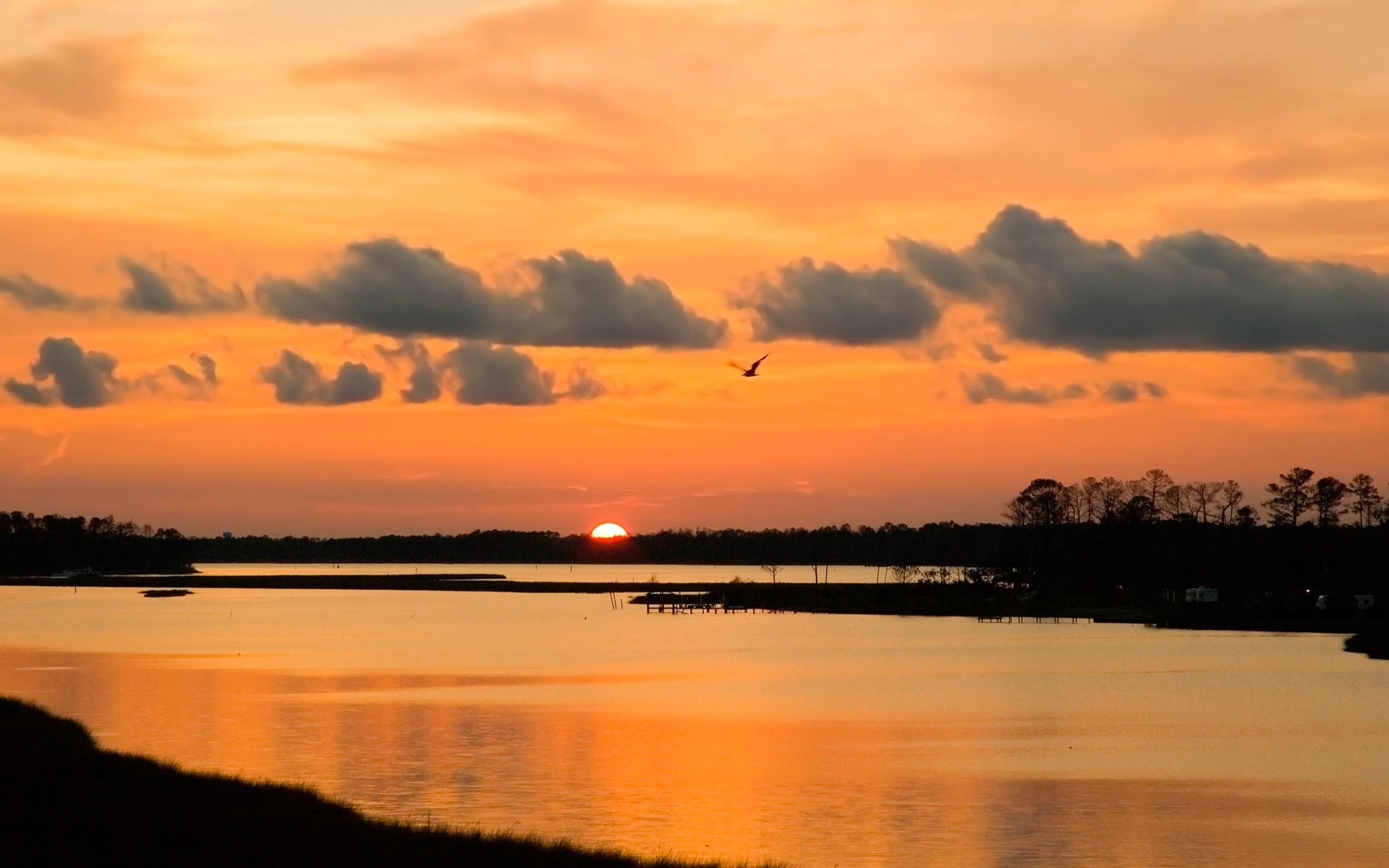Sunset over a calm bay with a bird flying HD Wallpaper