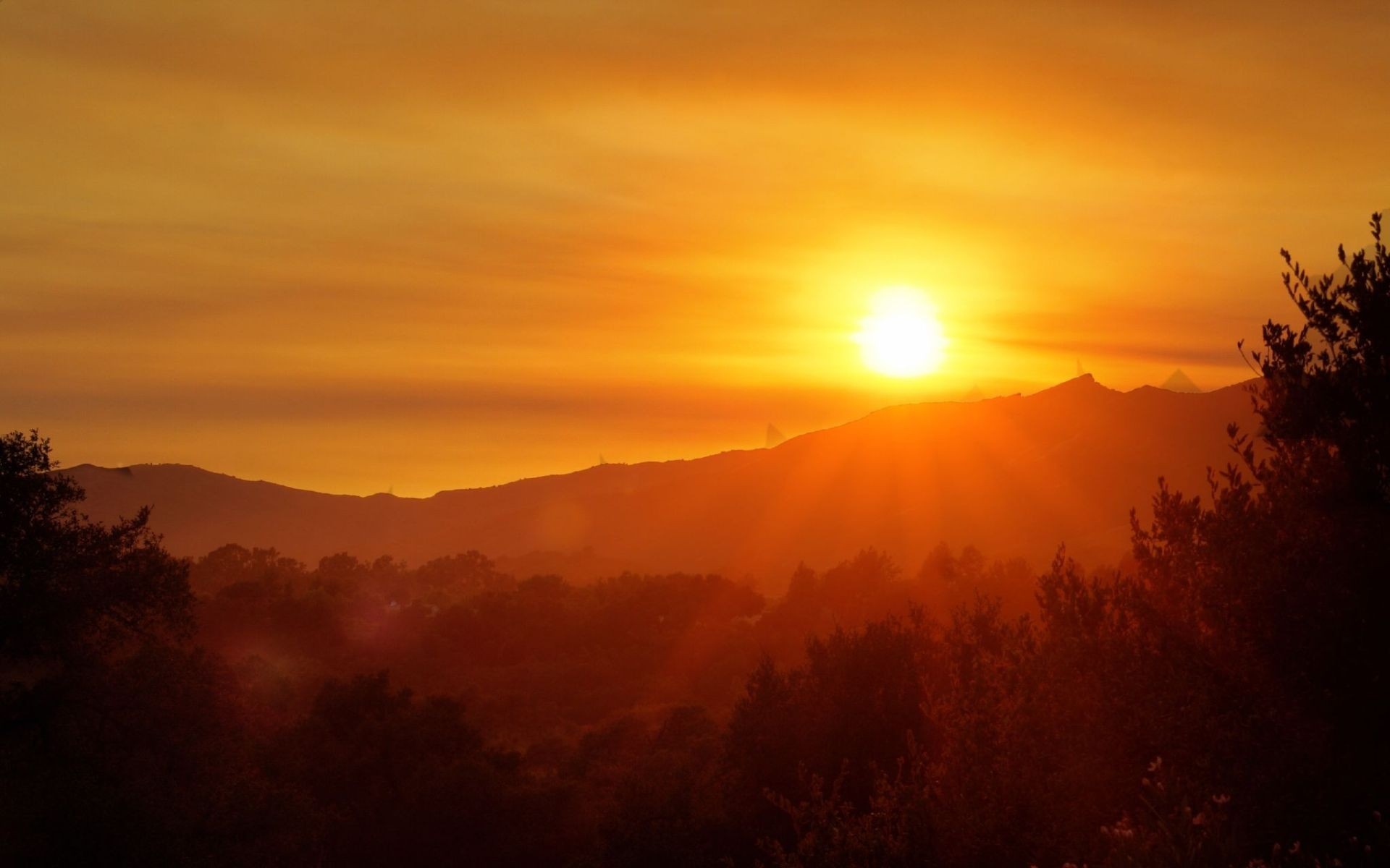 Sunset over rolling hills with trees HD Wallpaper