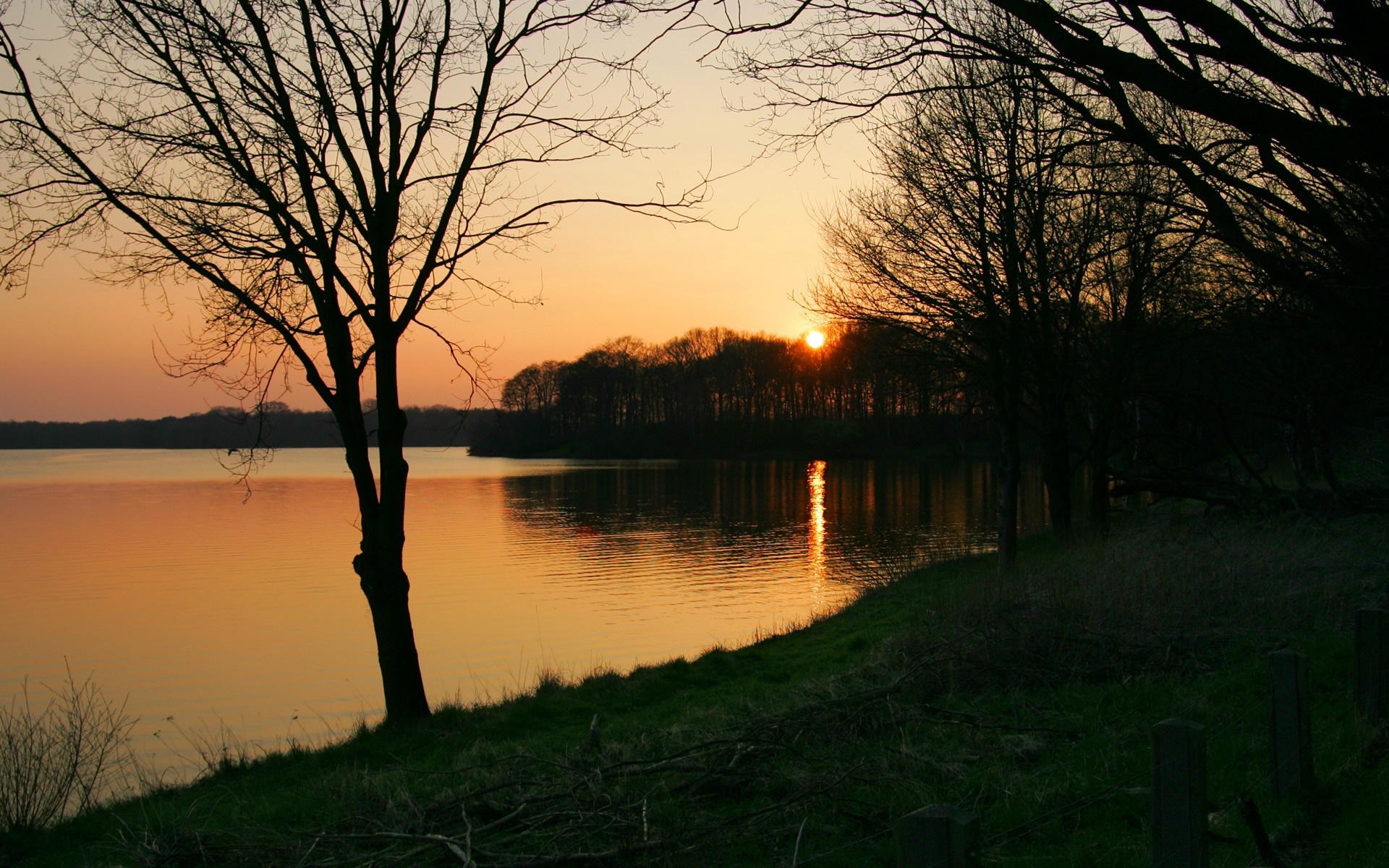 Sunset over a calm lake with silhouetted trees HD Wallpaper
