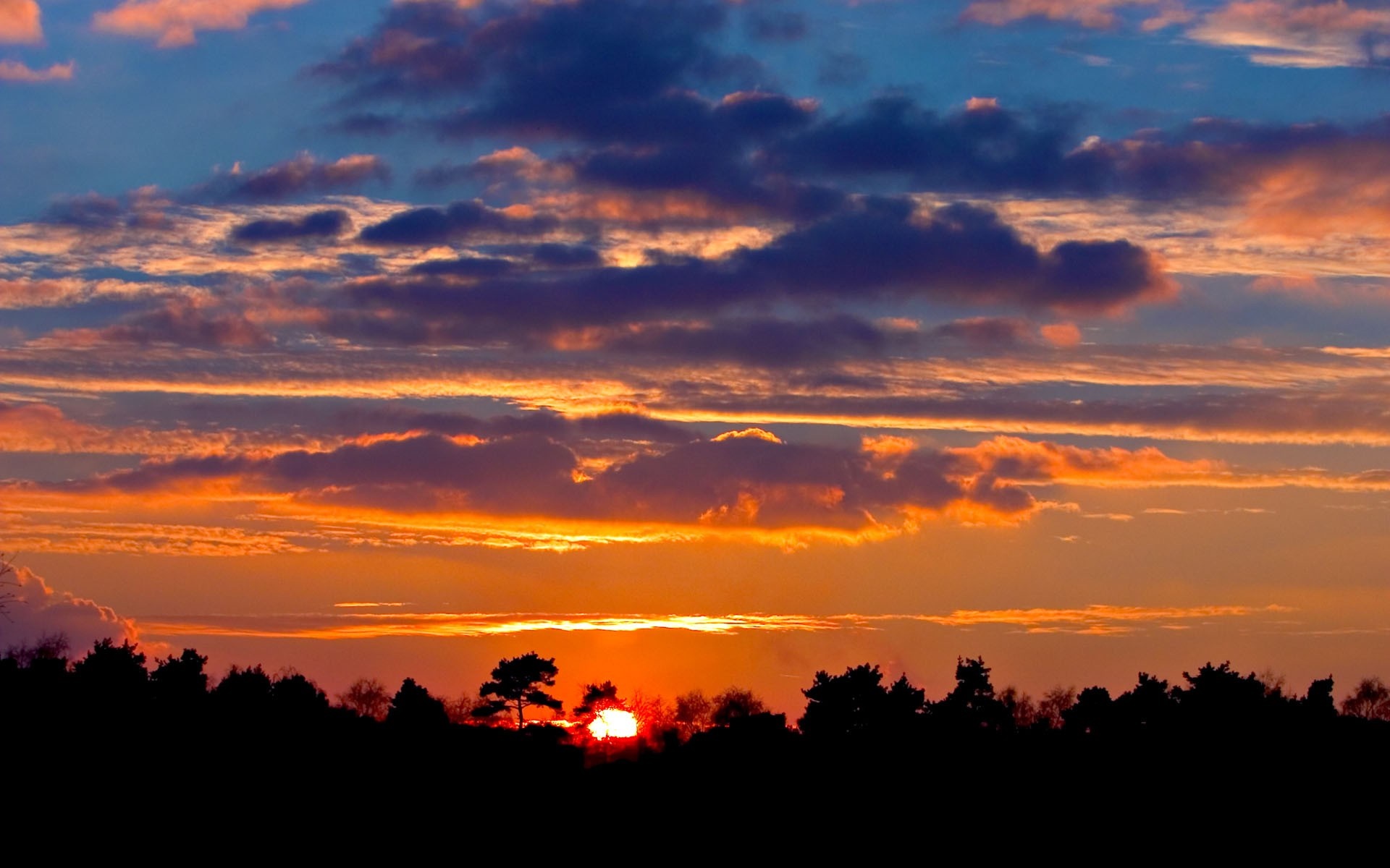 Sunset over a silhouetted forest HD Wallpaper