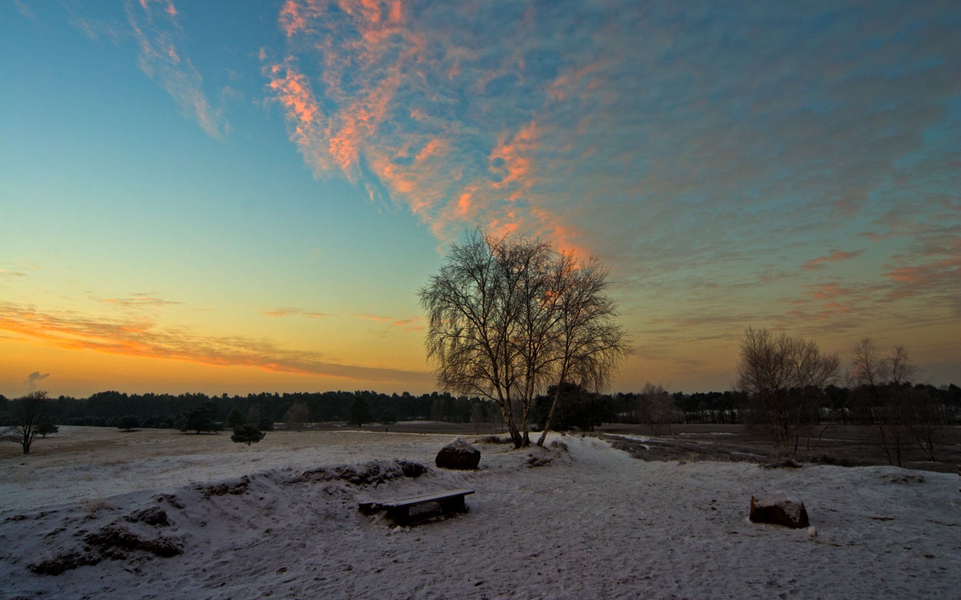 Winter sunset over a snowy landscape with trees HD Wallpaper