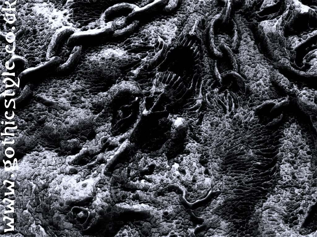 Monochrome relief sculpture with intricate textures HD Wallpaper