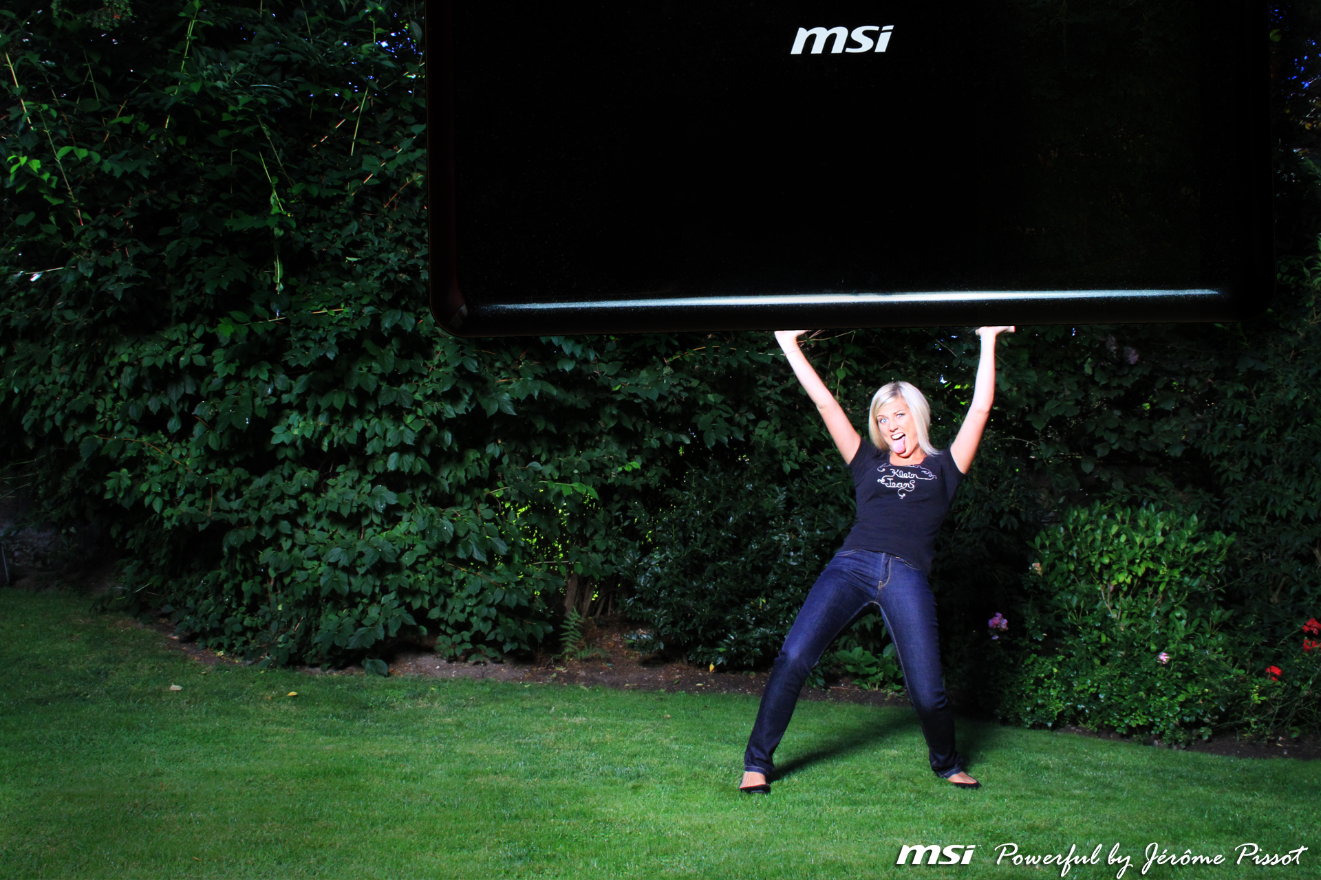 MSI logo on a black surface with green foliage HD Wallpaper
