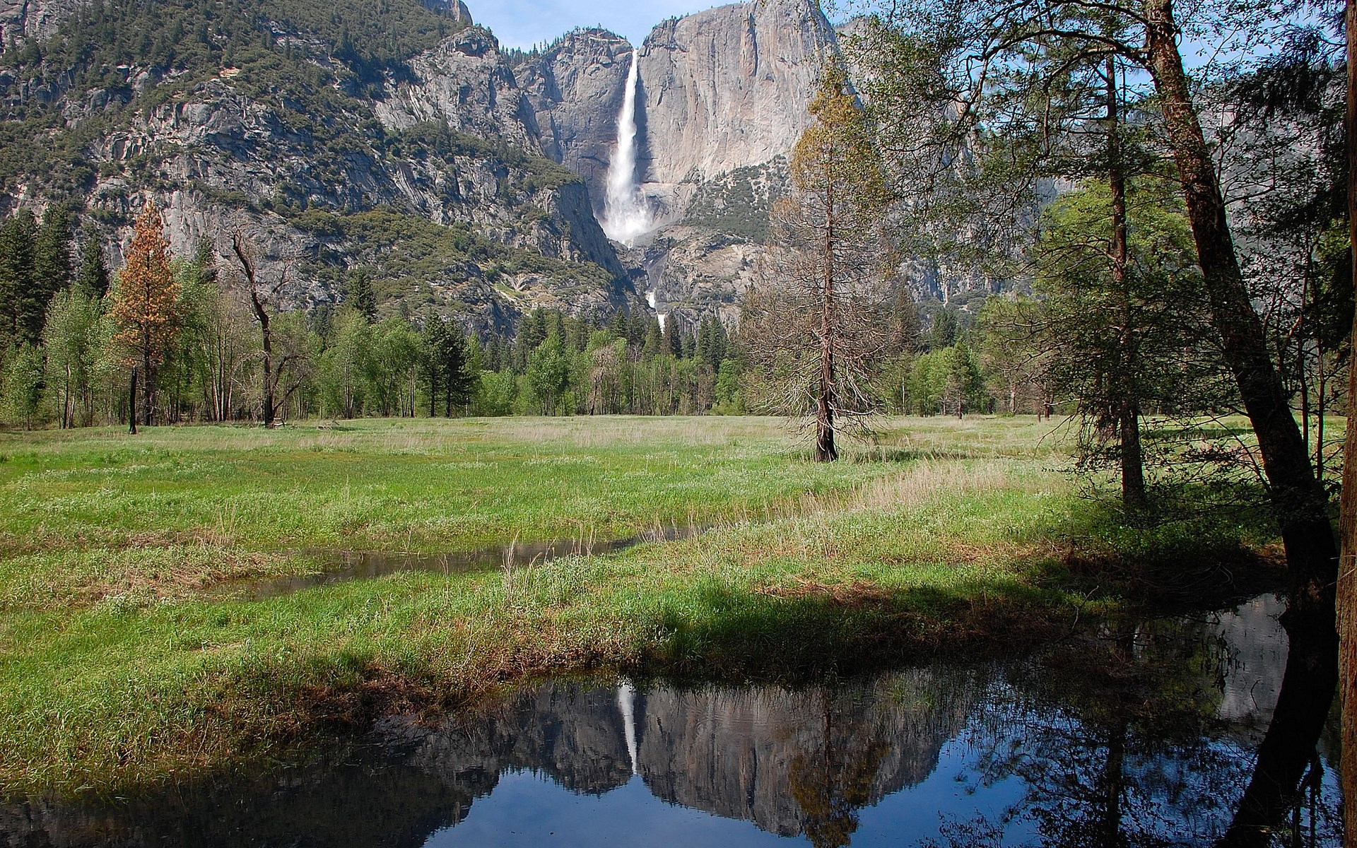 Yosemite Falls reflected in a meadow pond HD Wallpaper