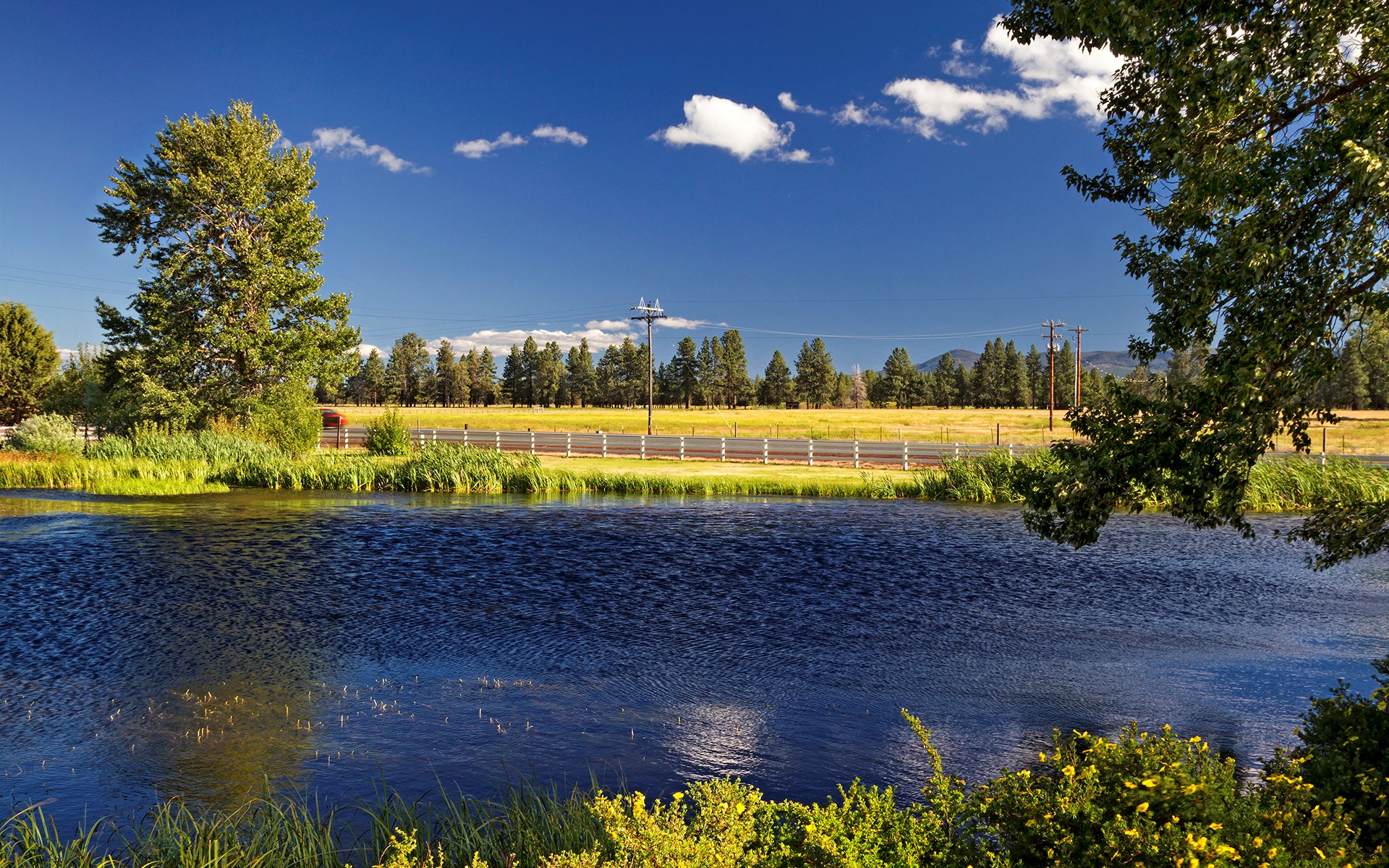 River flowing through a rural landscape with trees and a fence HD Wallpaper