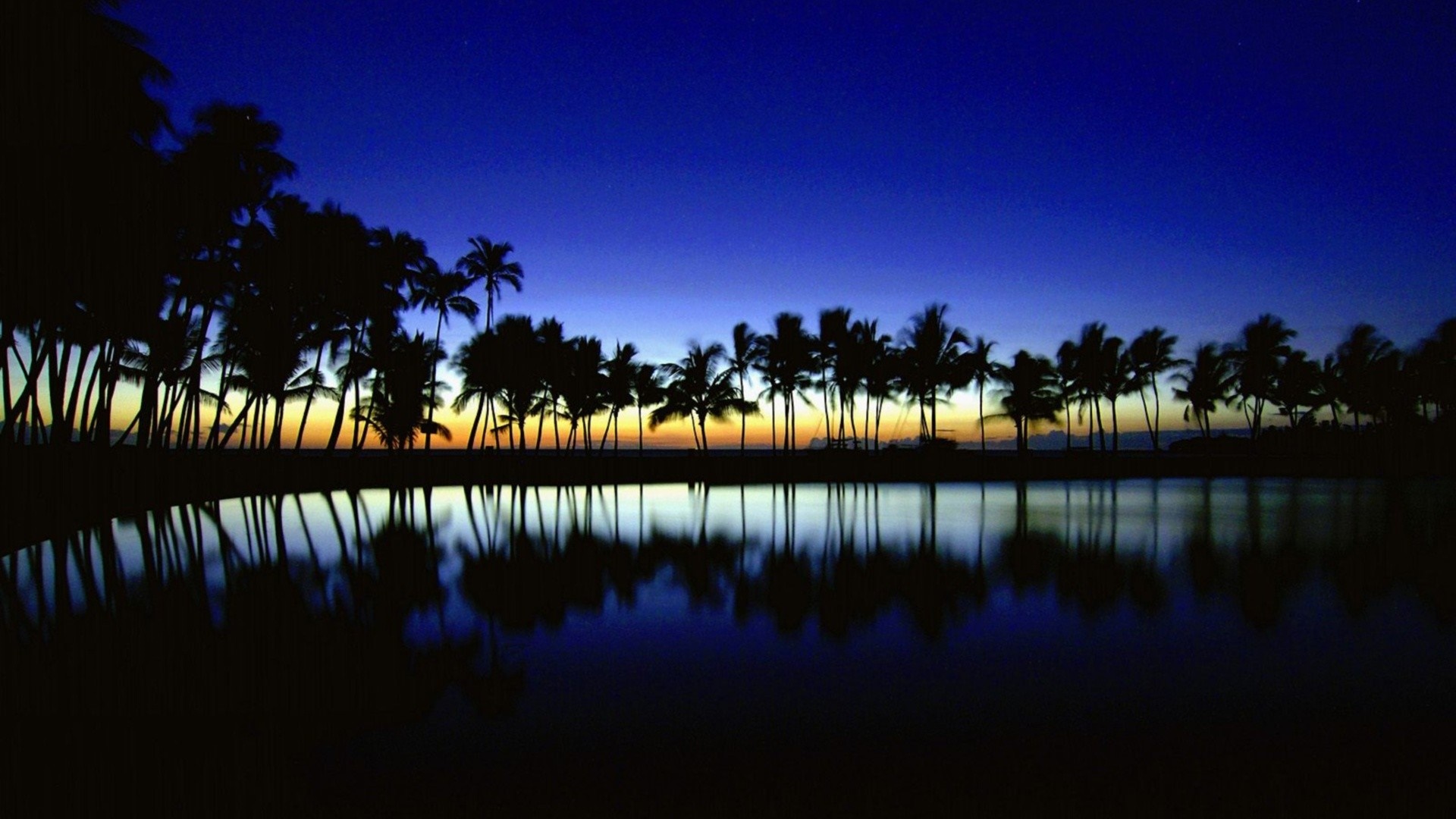 Palm trees silhouetted against a twilight sky reflected in water HD Wallpaper