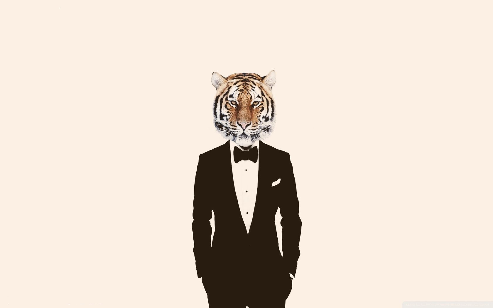 Tiger wearing a tuxedo HD Wallpaper