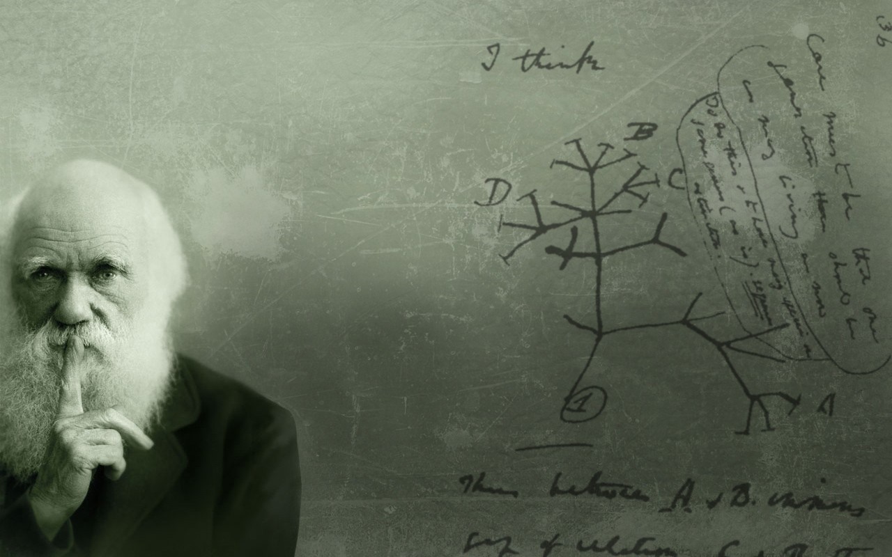 Charles Darwin's Tree of Life sketch HD Wallpaper