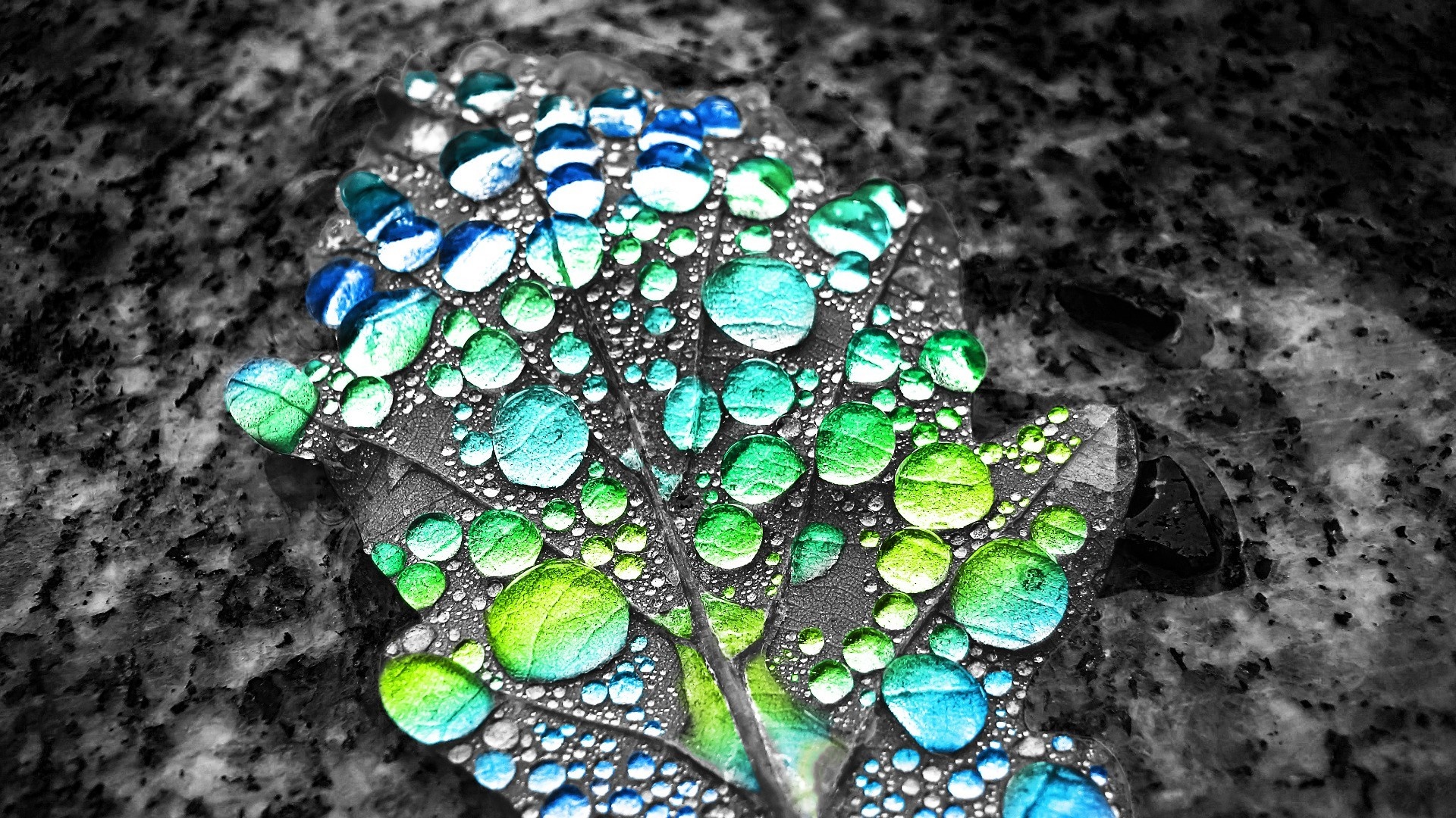 Selective coloring of water drops on a leaf HD Wallpaper