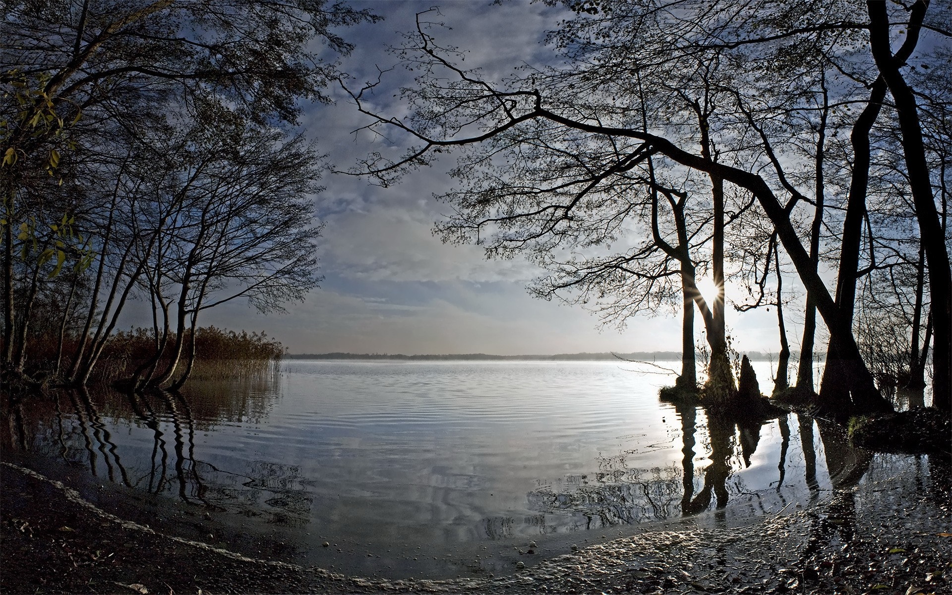 Bare trees reflecting in a calm lake at sunrise or sunset HD Wallpaper