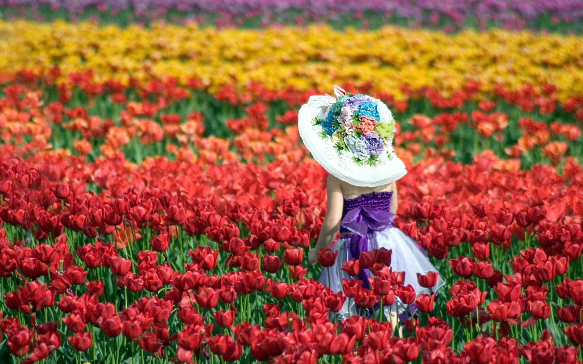 Girl in a hat in a field of tulips HD Wallpaper