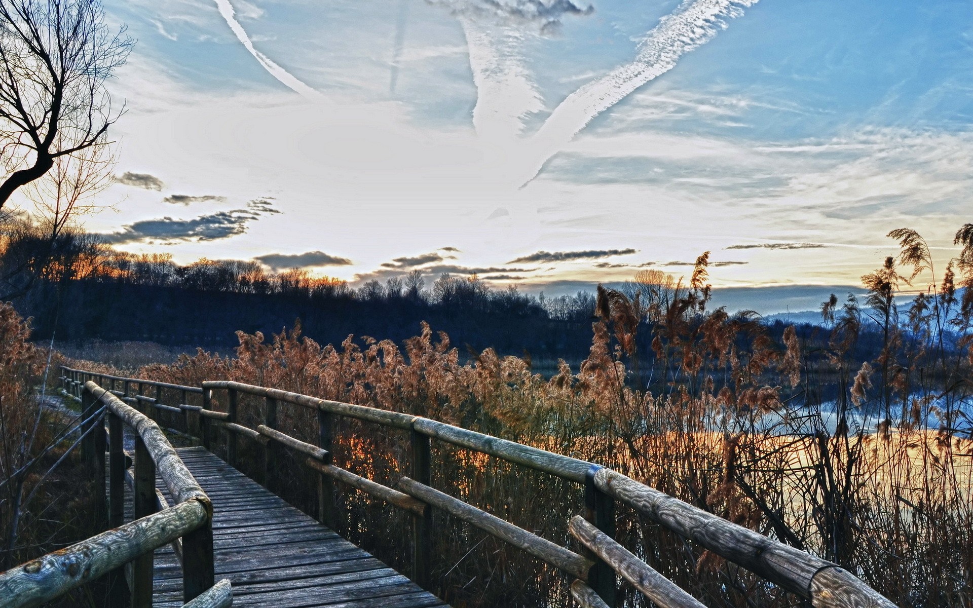 Wooden boardwalk through reeds by a lake at sunset HD Wallpaper