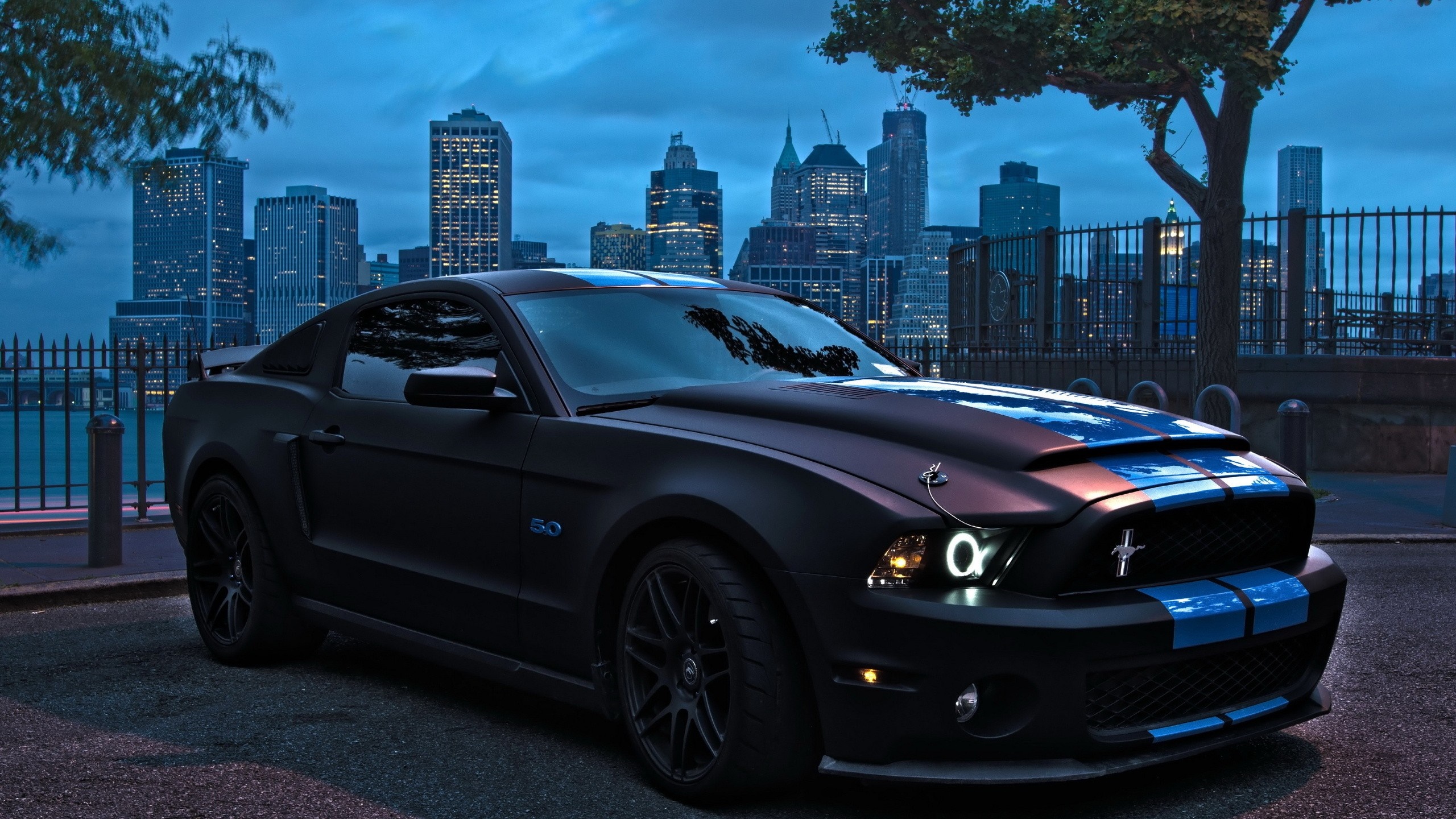Matte black Ford Mustang with blue stripes in city HD Wallpaper