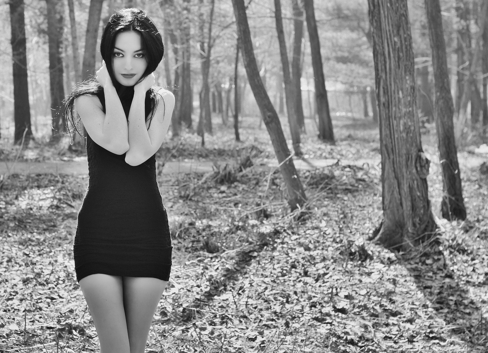 Woman in black dress in a forest HD Wallpaper