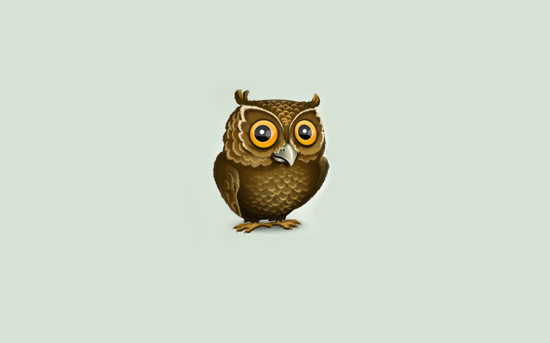 Cute cartoon owl illustration HD Wallpaper