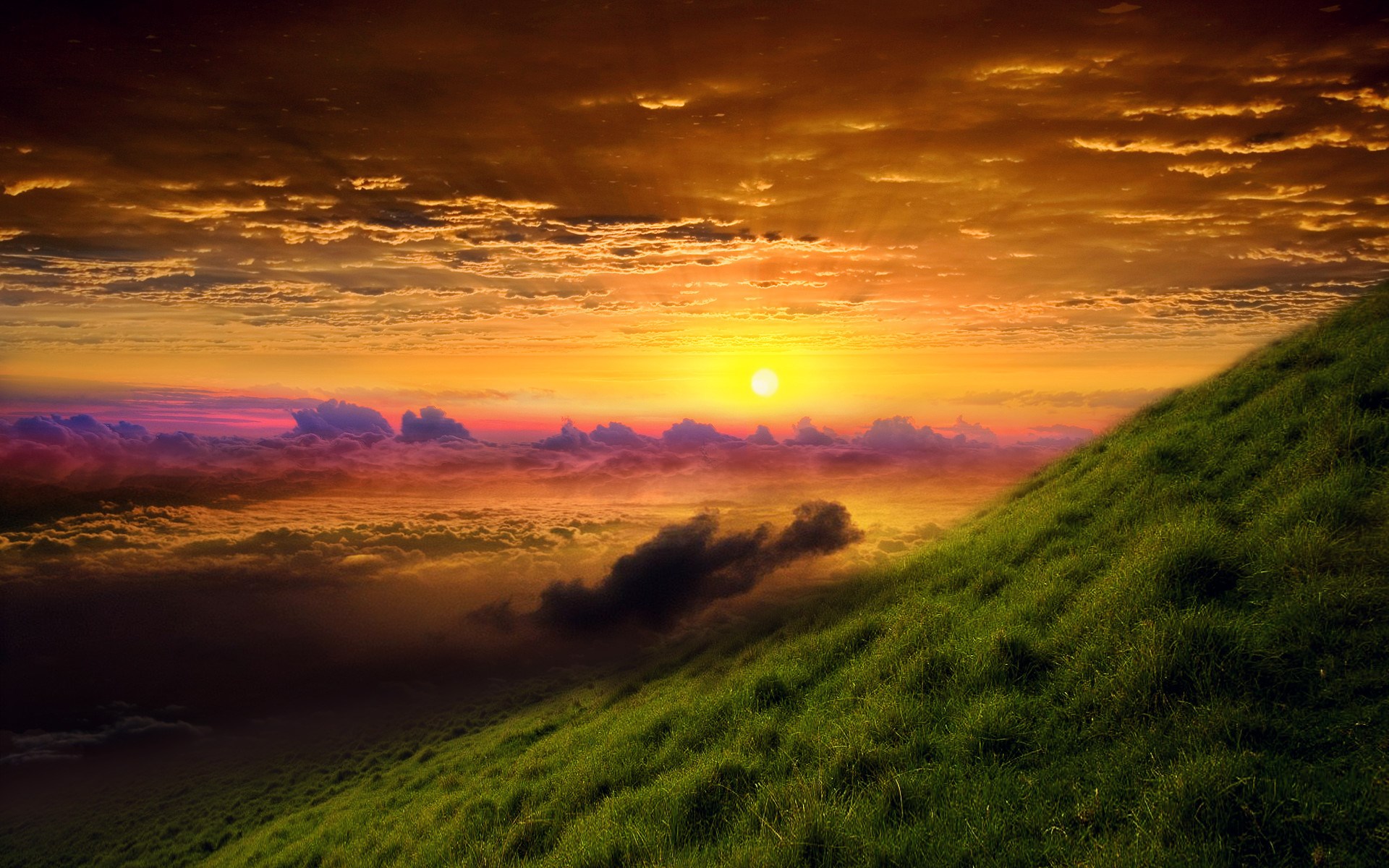 Sunset over clouds from a grassy hill HD Wallpaper